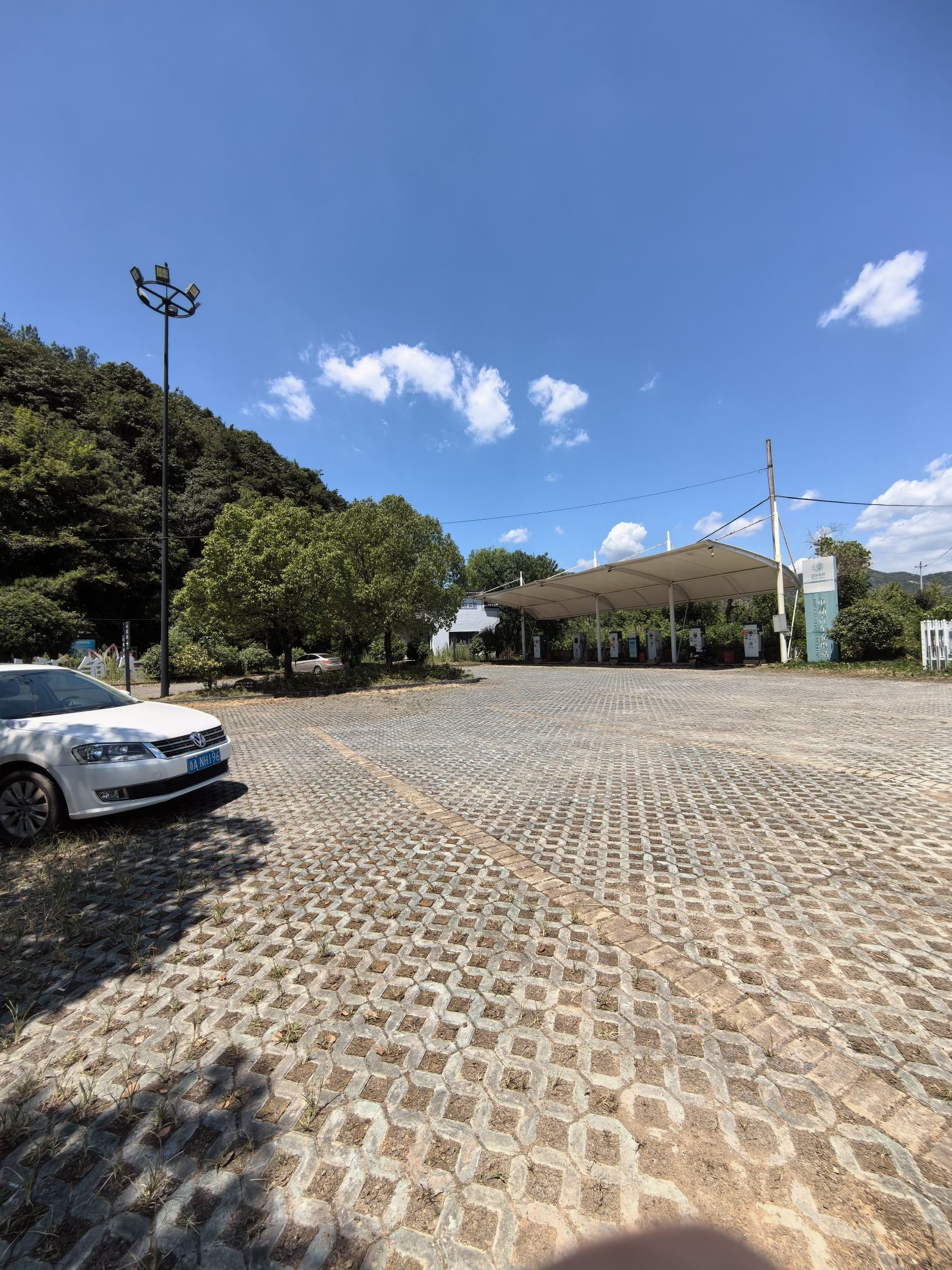 天池荷花风景区旅行图片 3