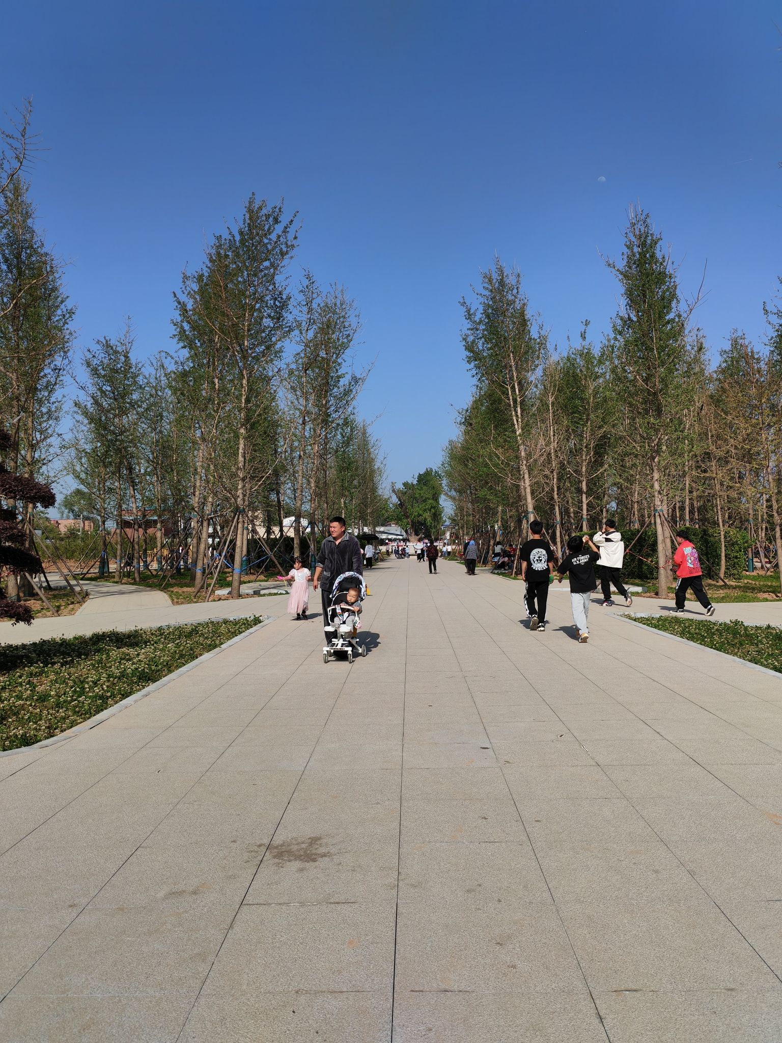 许村白果树旅行图片 3
