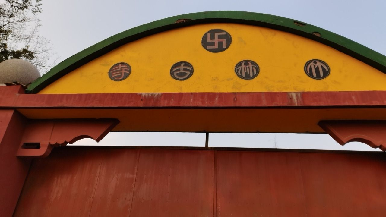 鄱阳湖国家级自然保护区-竹林古寺实景照片