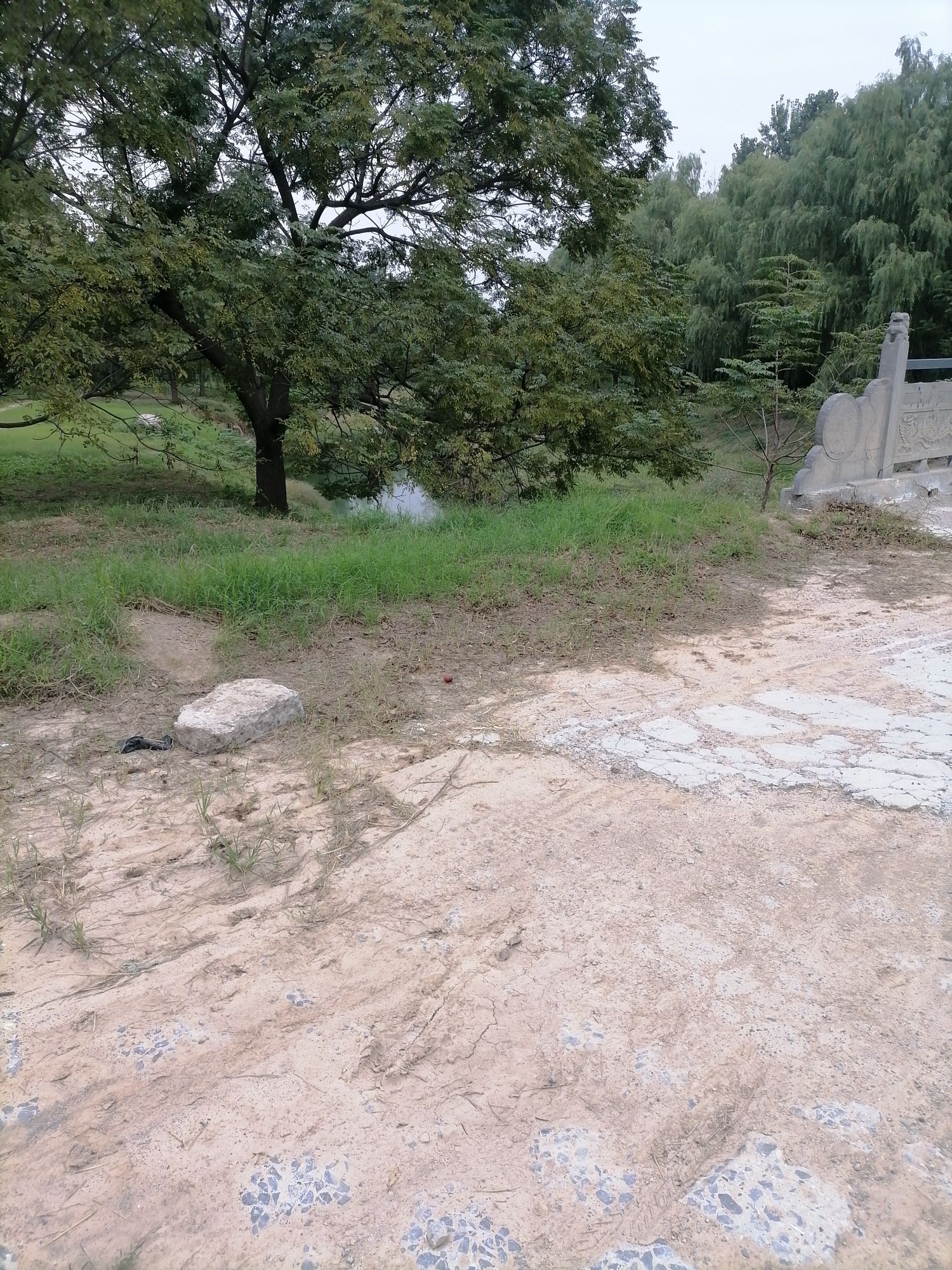 十七里河市政公园旅行图片 2