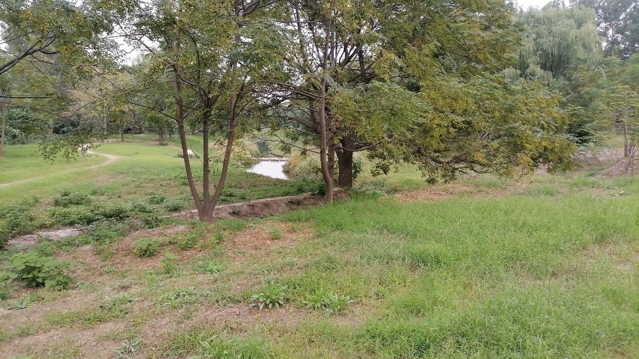 十七里河市政公园旅行图片 1