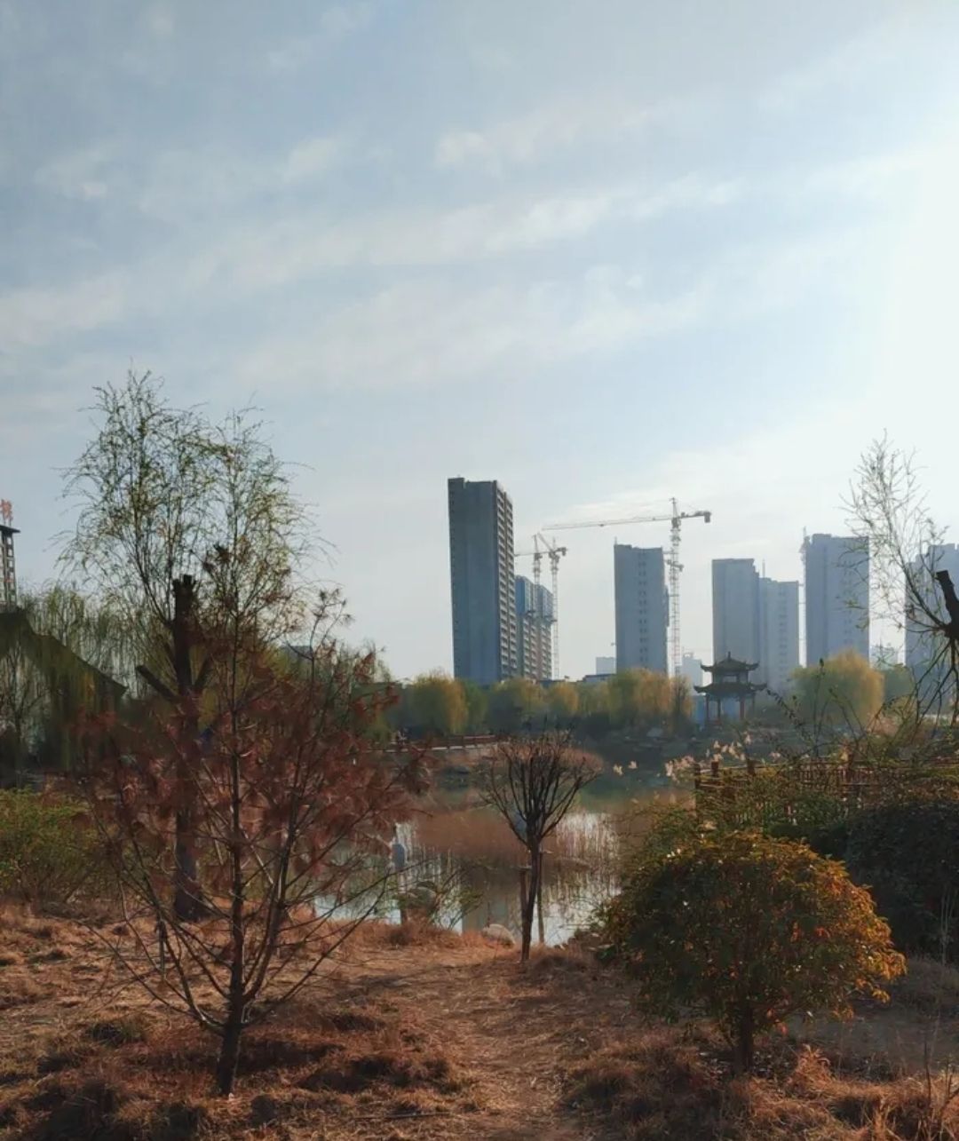 棠邑公园旅行图片 3