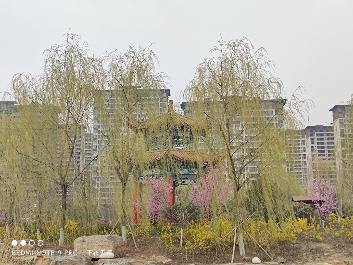棠邑公园旅行图片 1