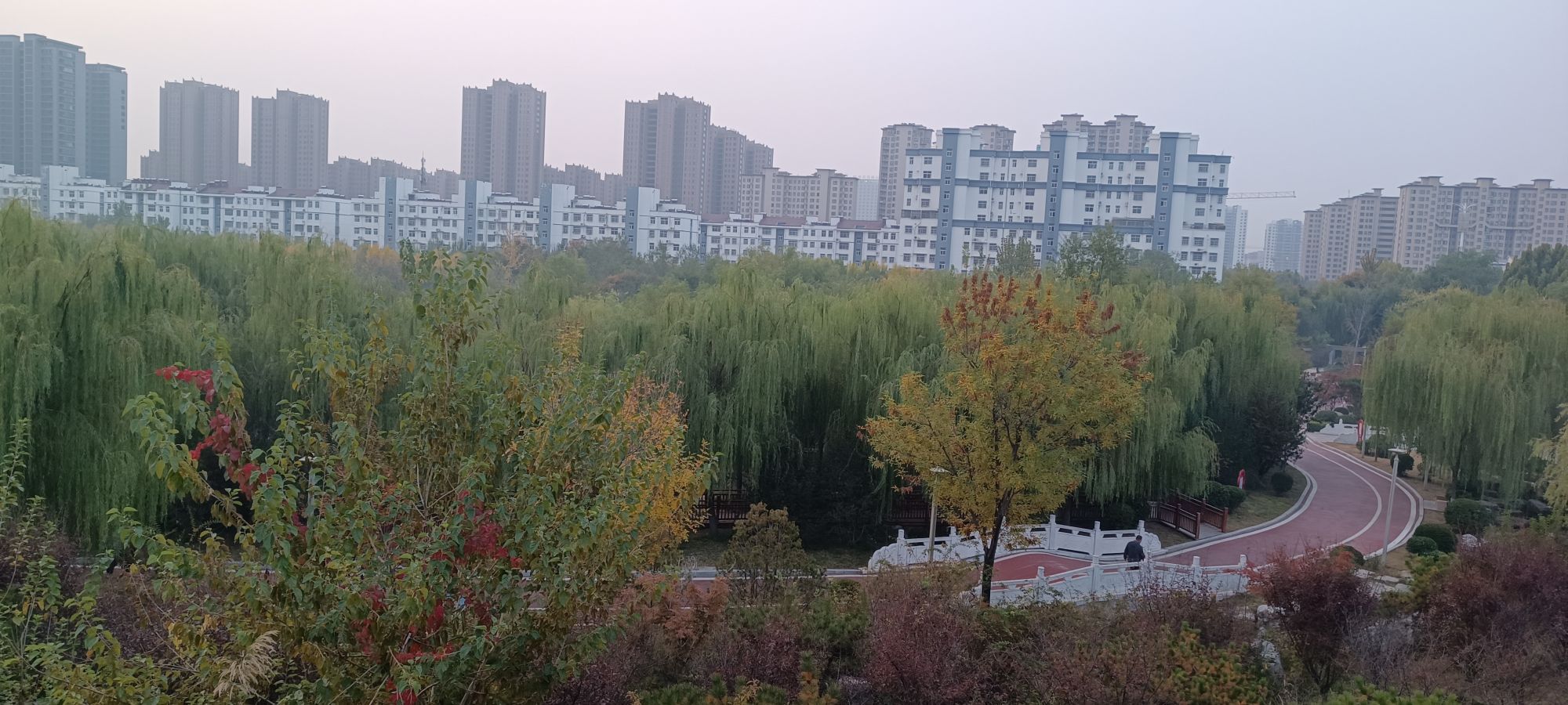 棠邑公园旅行图片 3