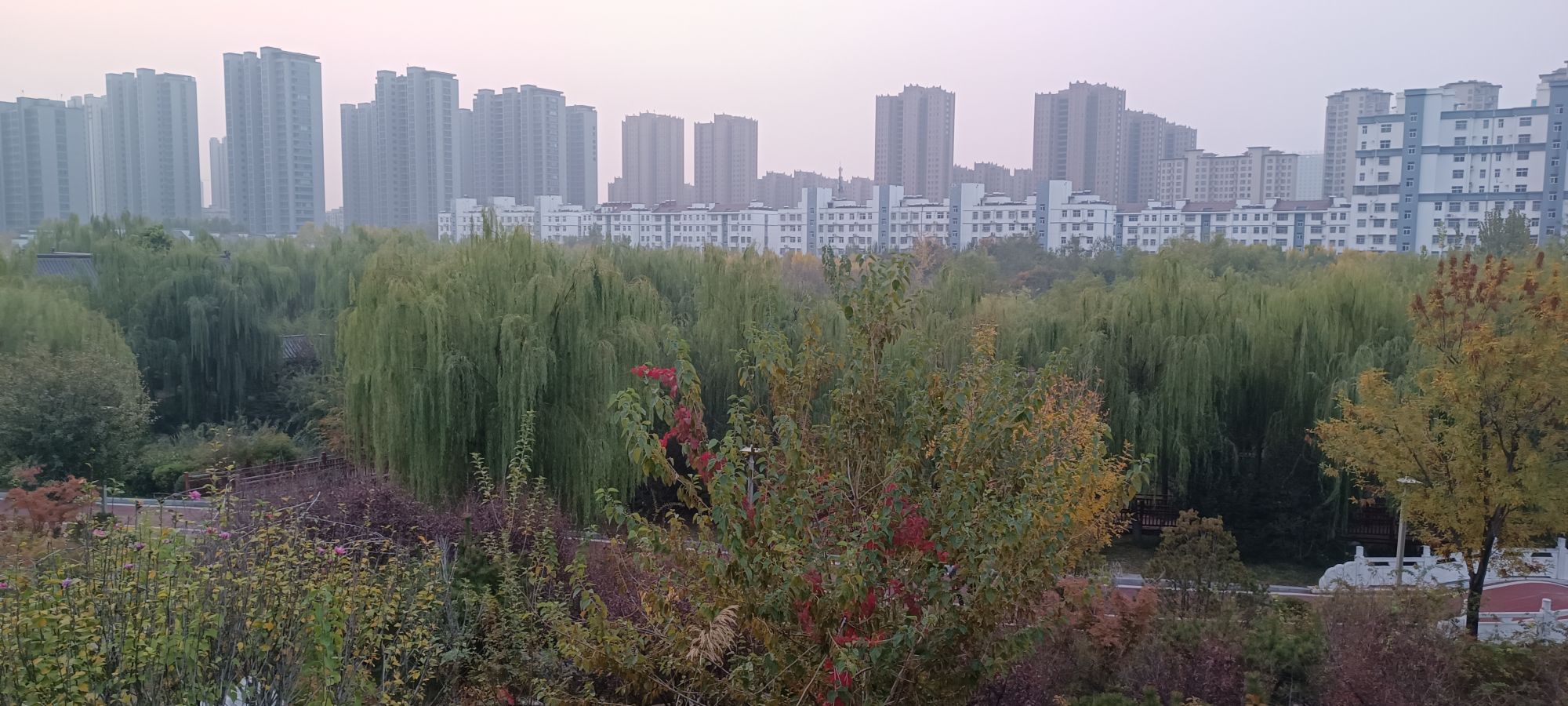棠邑公园旅行图片 2