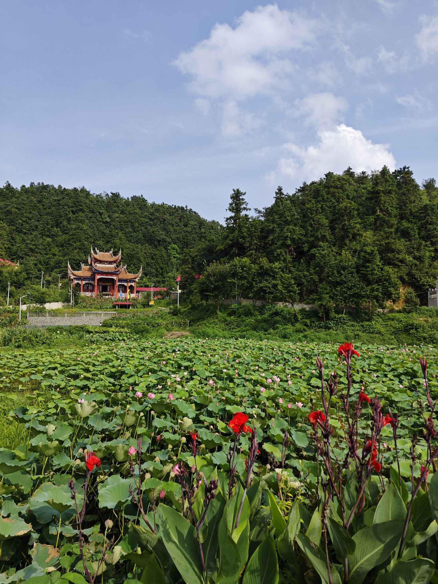 凤凰山寺庙实景照片
