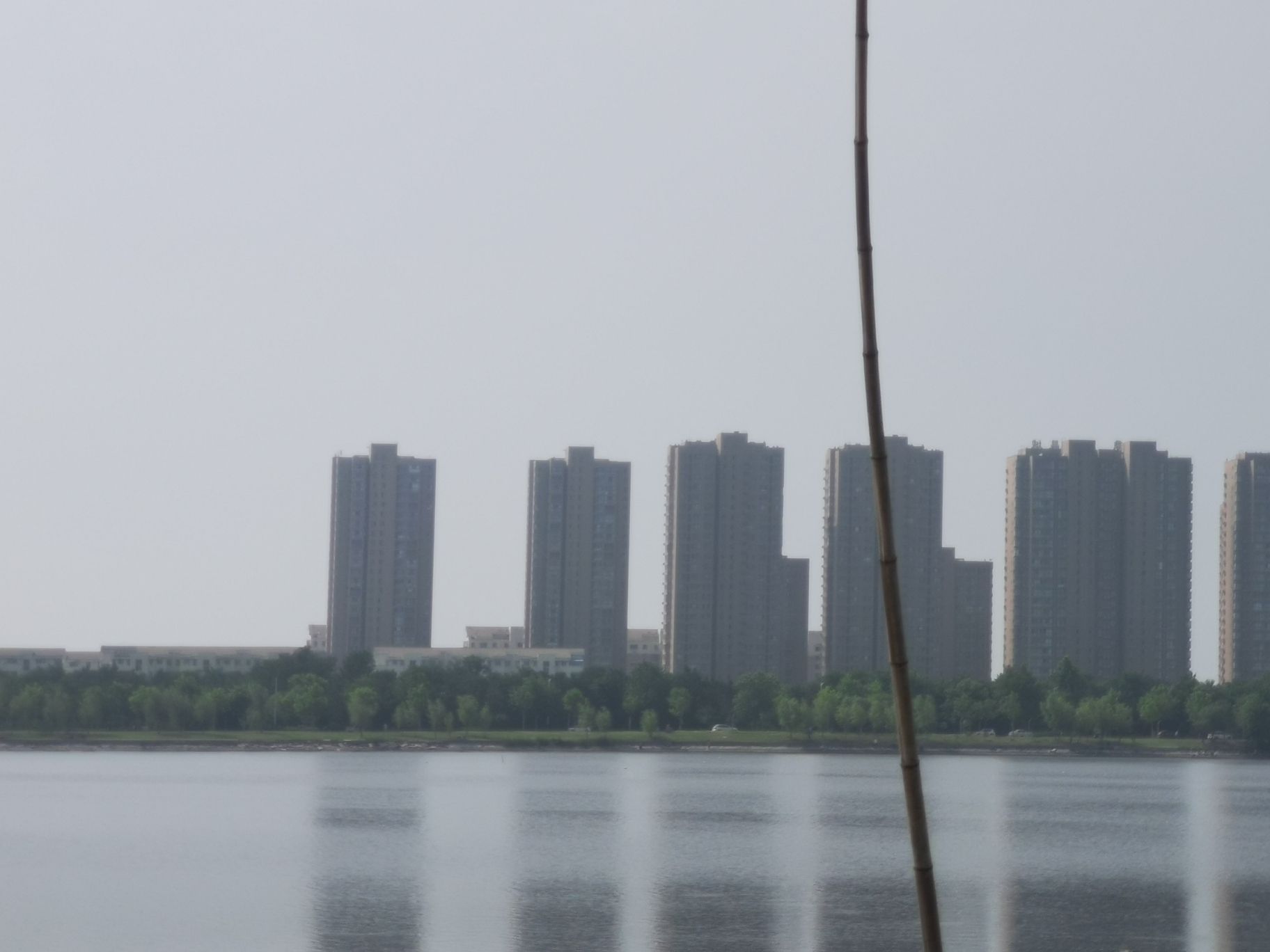 潮汐湖湿地公园旅行图片 2