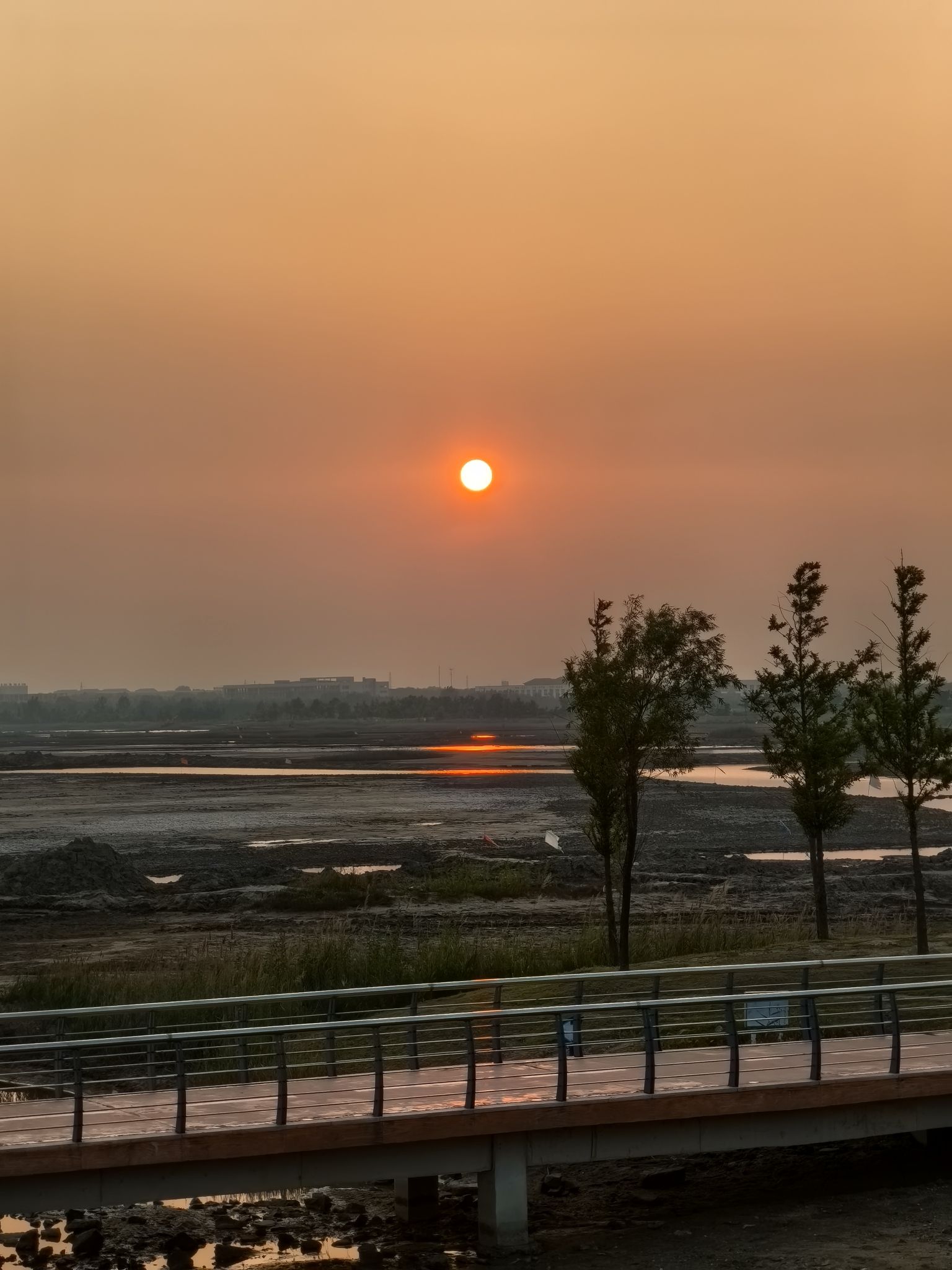 潮汐湖湿地公园旅行图片 2