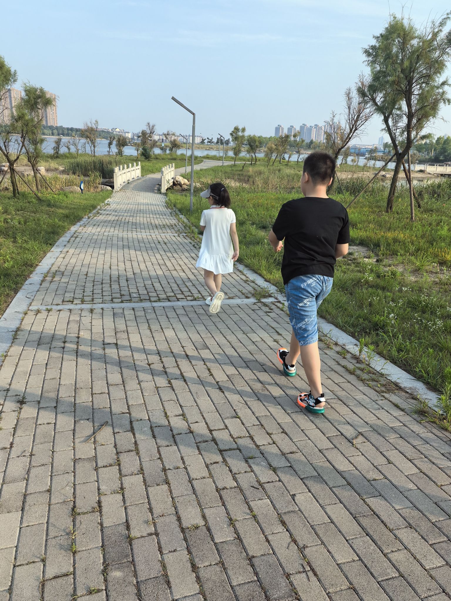潮汐湖湿地公园旅行图片 3