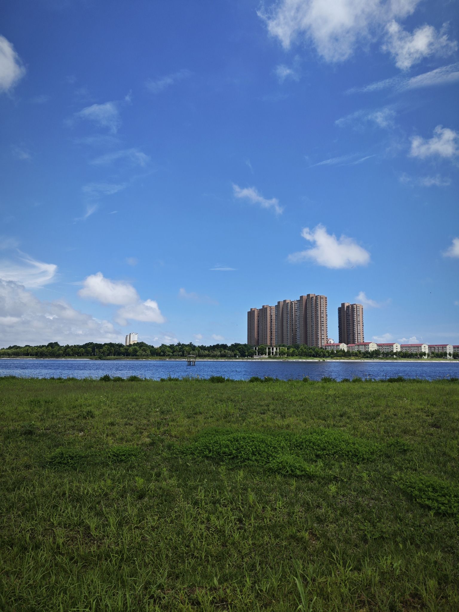 潮汐湖湿地公园旅行图片 1