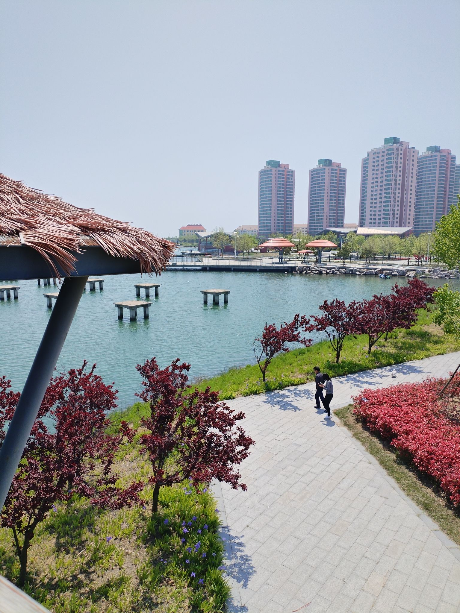 潮汐湖湿地公园旅行图片 3