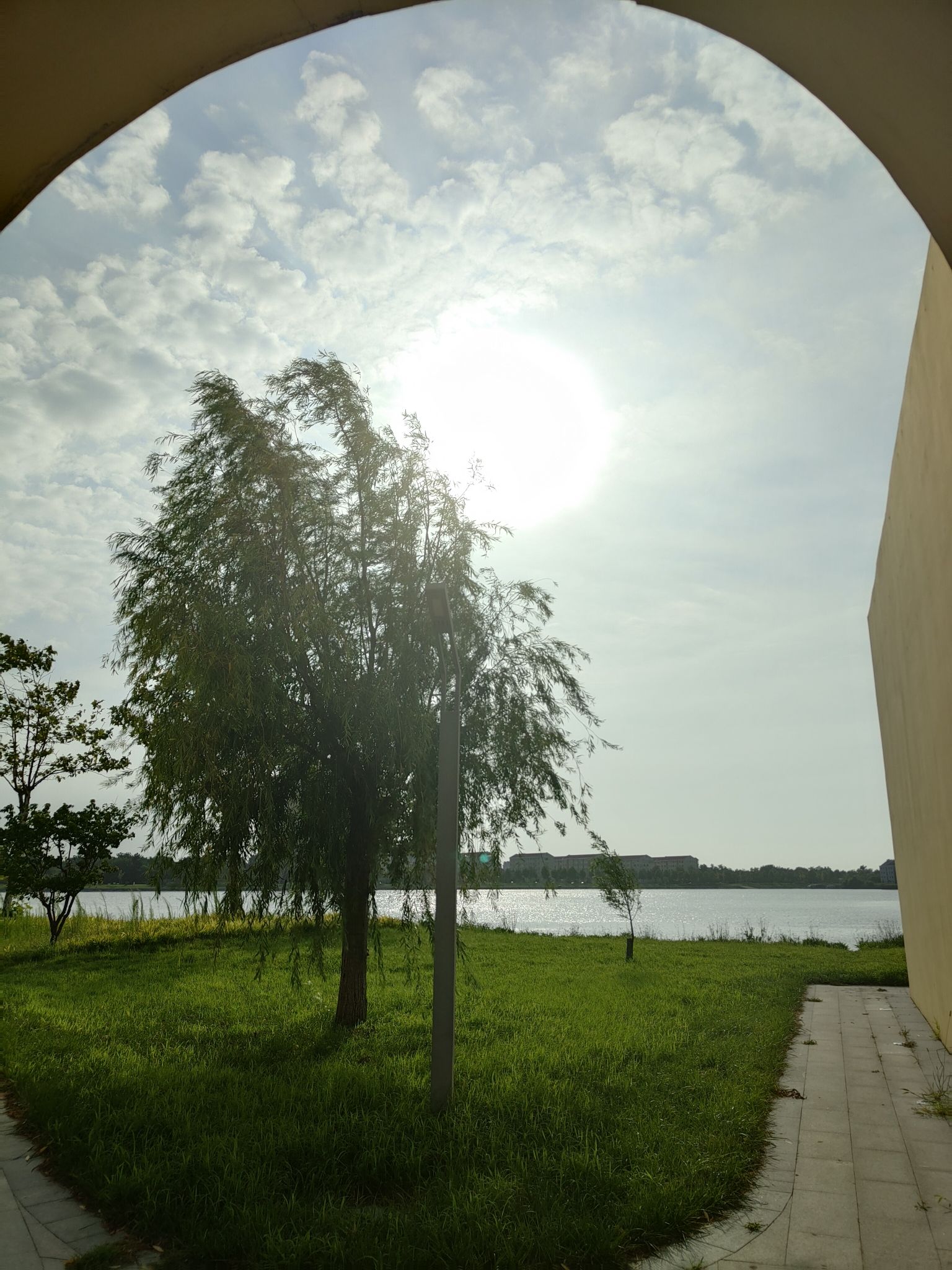 潮汐湖湿地公园旅行图片 1