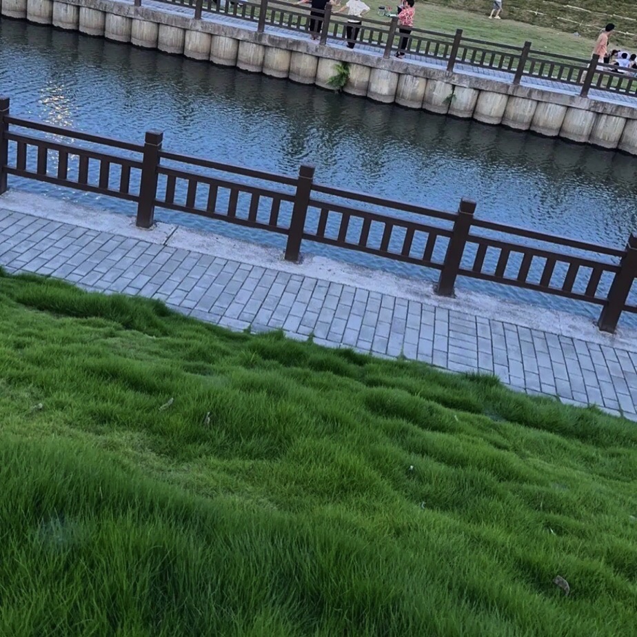 潮南区两英生态公园旅行图片 2