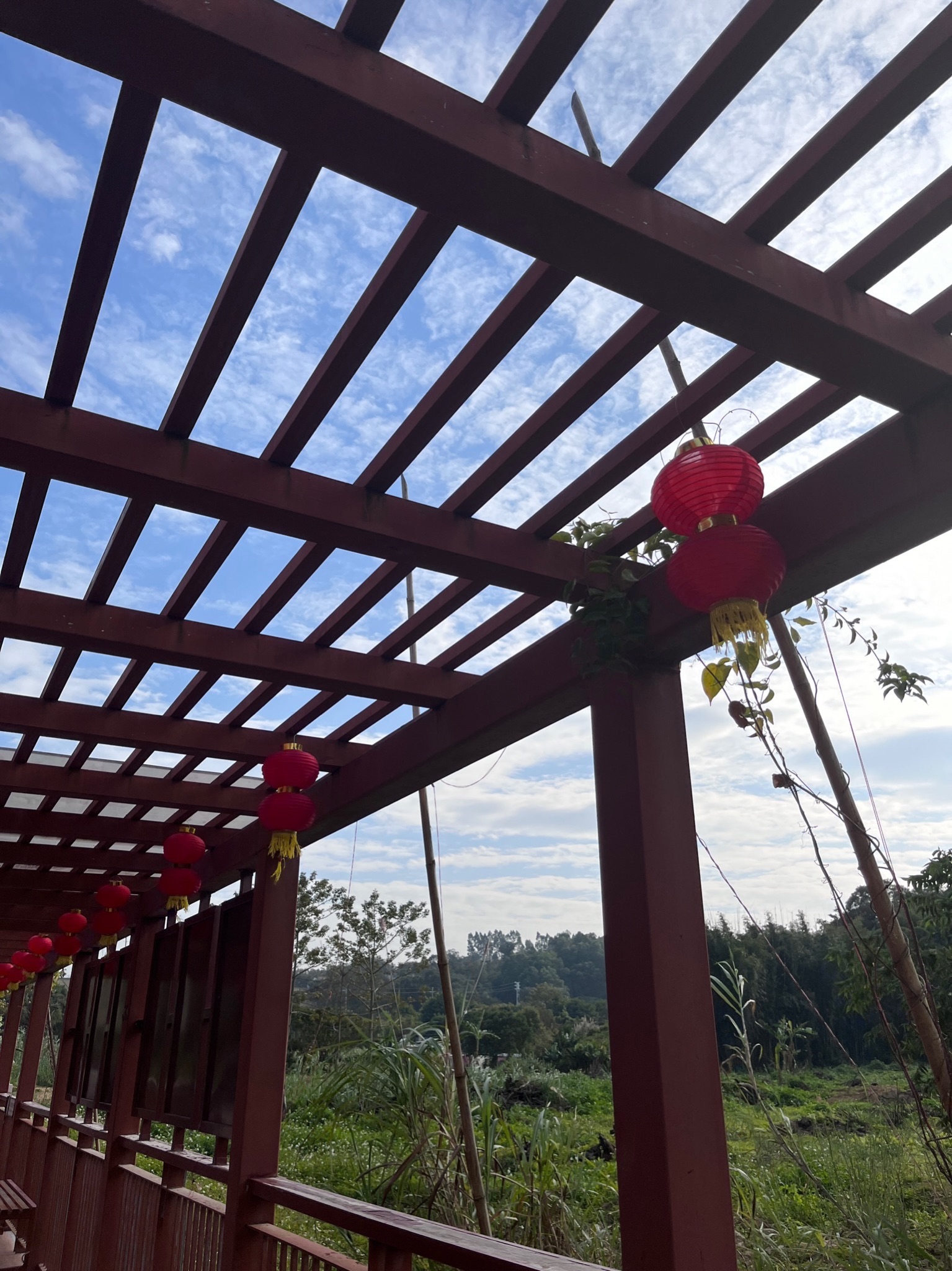 潮南区两英生态公园旅行图片 2