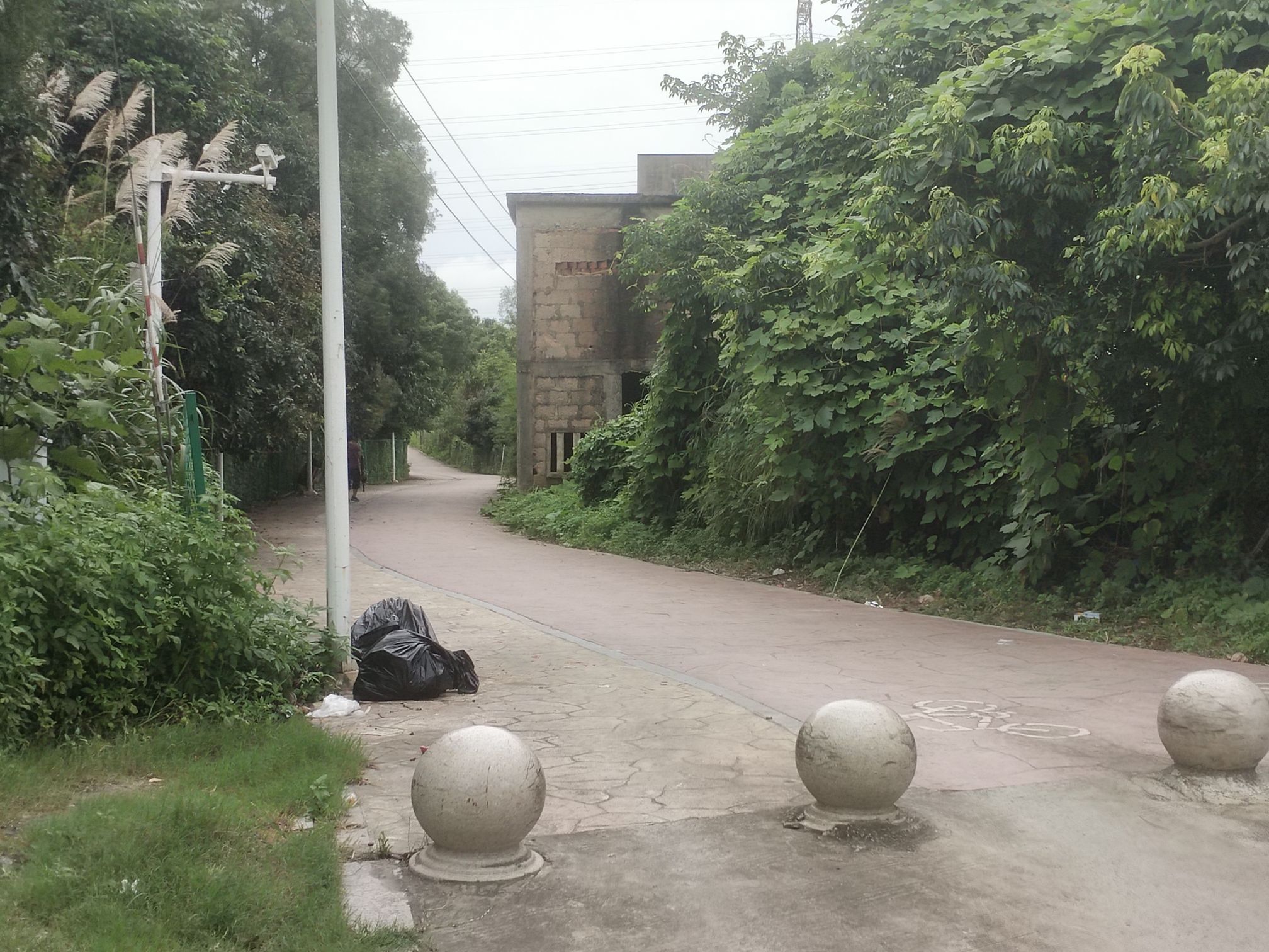 潮南区两英生态公园旅行图片 3