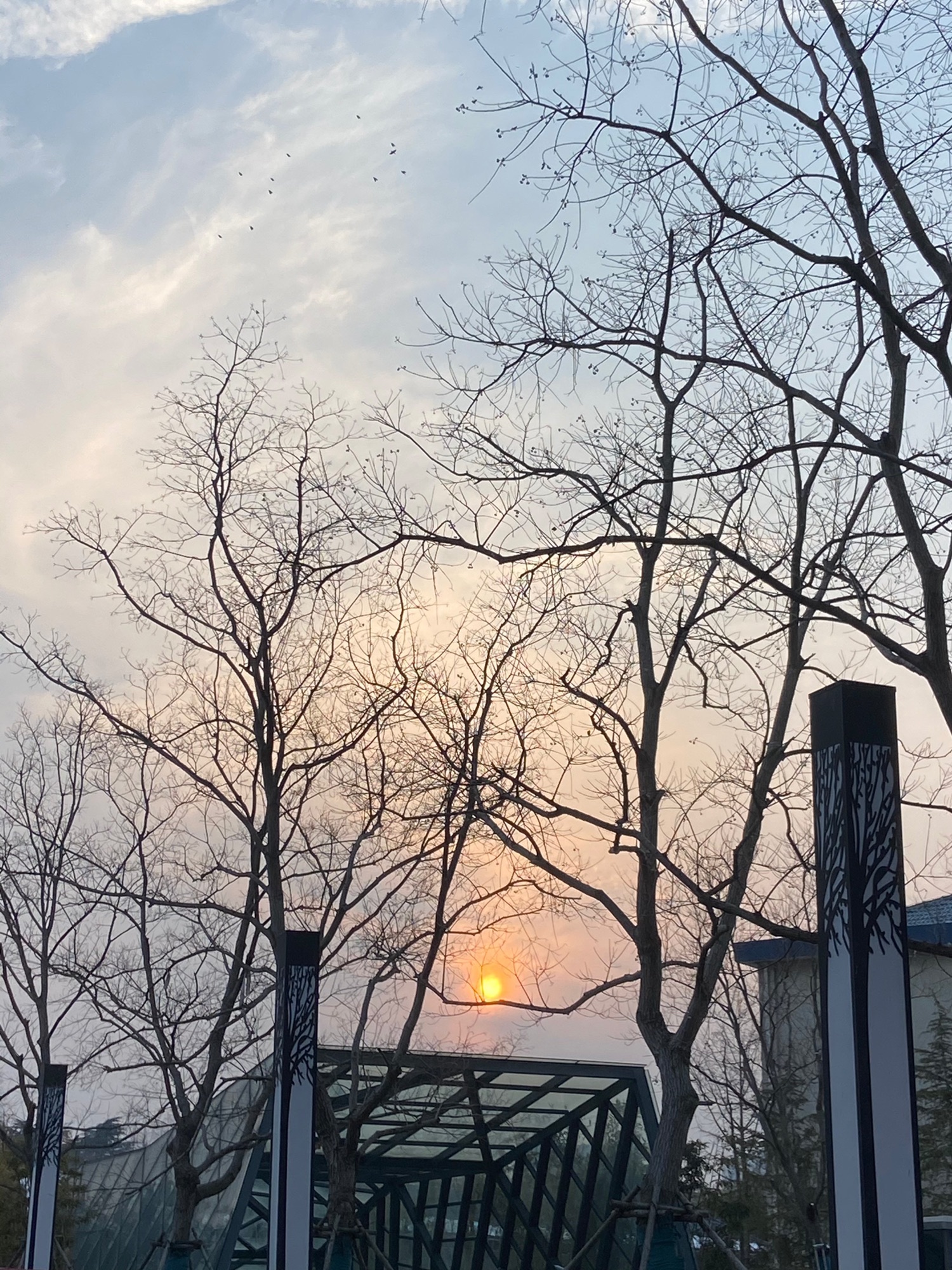 城北公园旅行图片 3