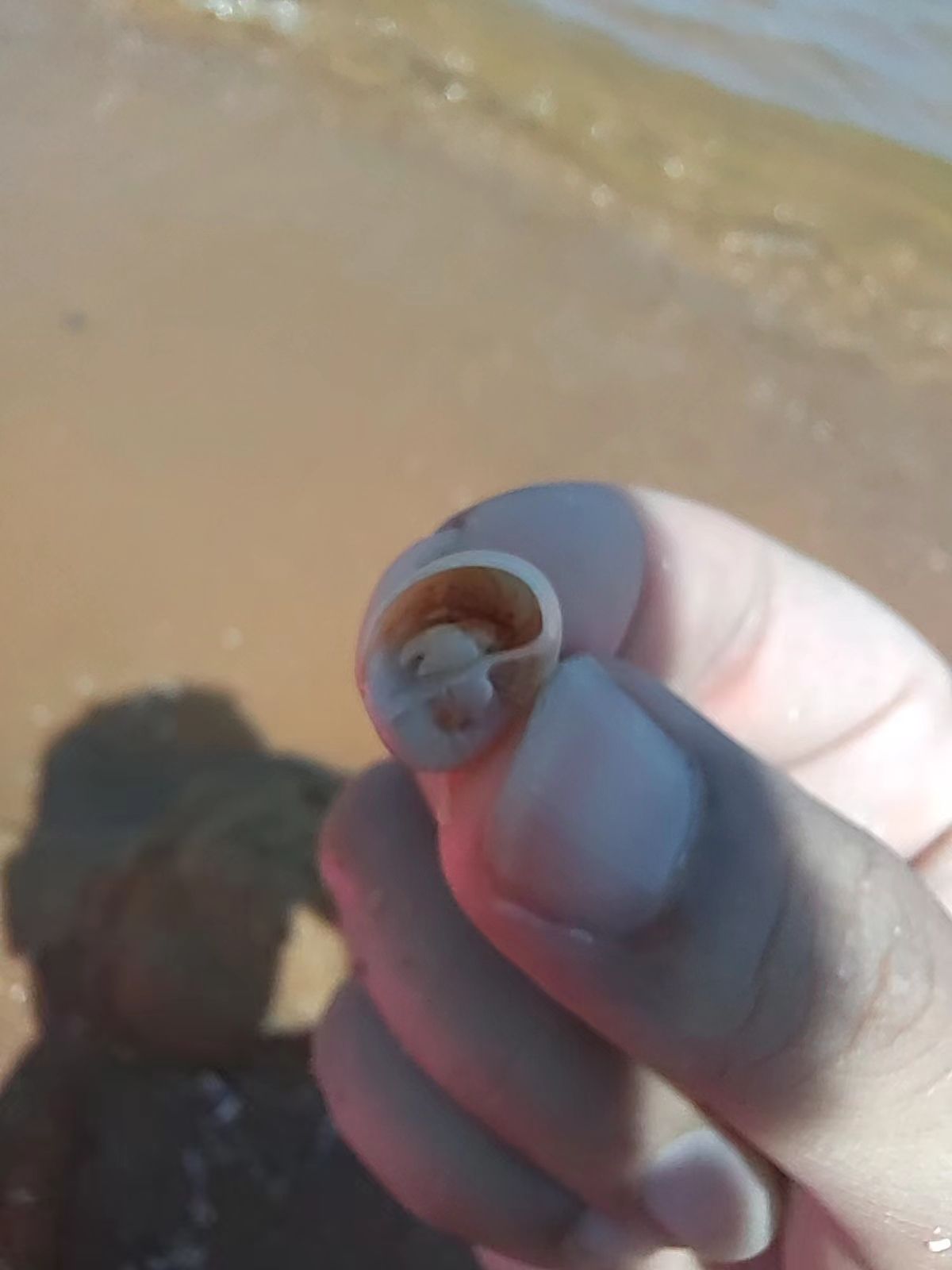 欢乐海岸旅游区旅行图片 1