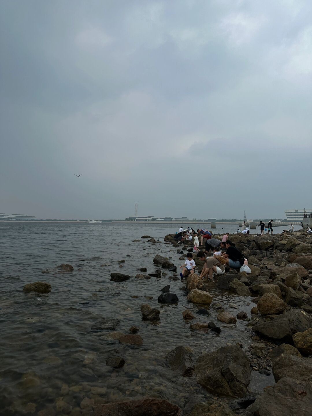 欢乐海岸旅游区旅行图片 1