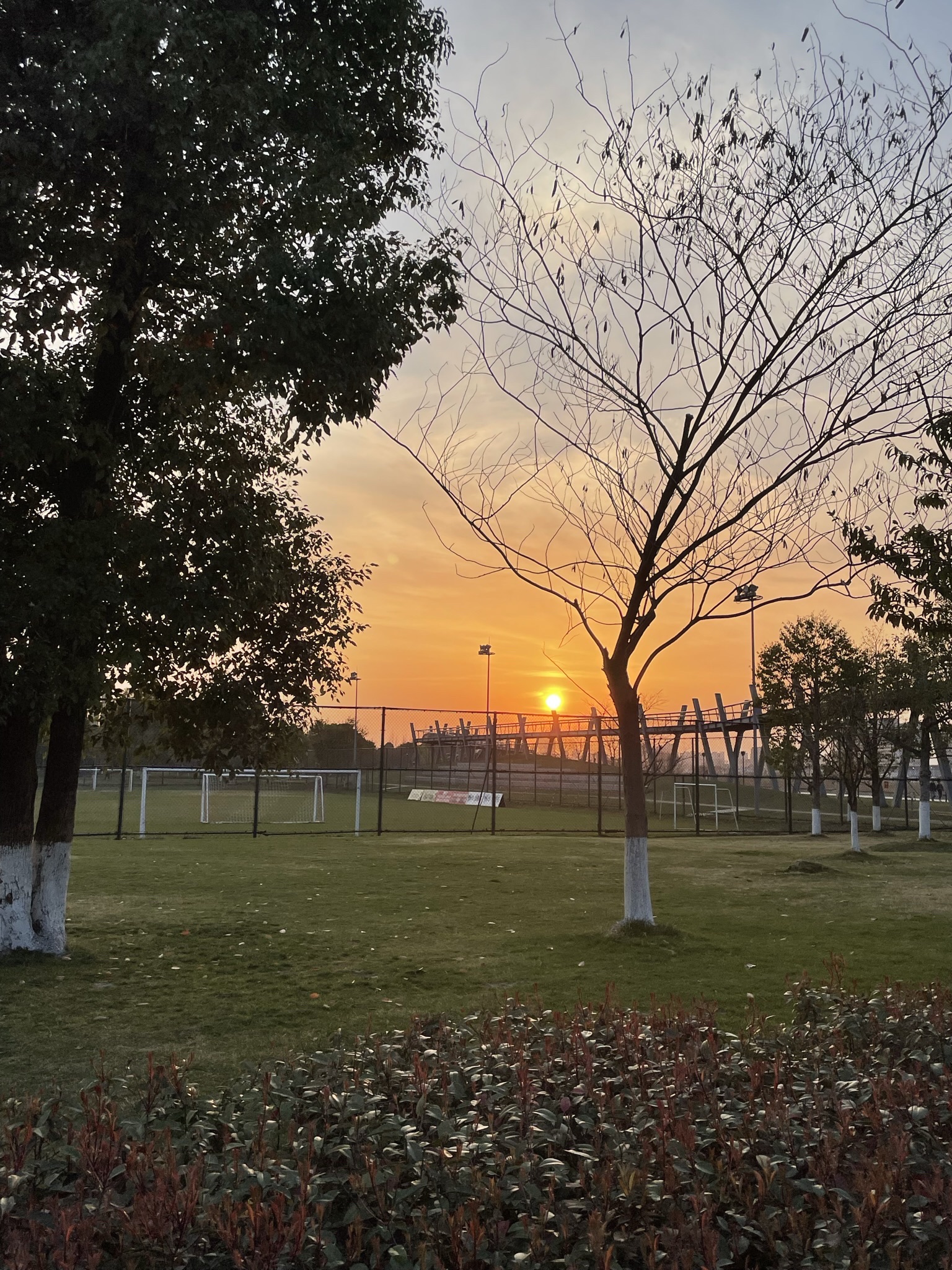 滨江水韵公园旅行图片 1