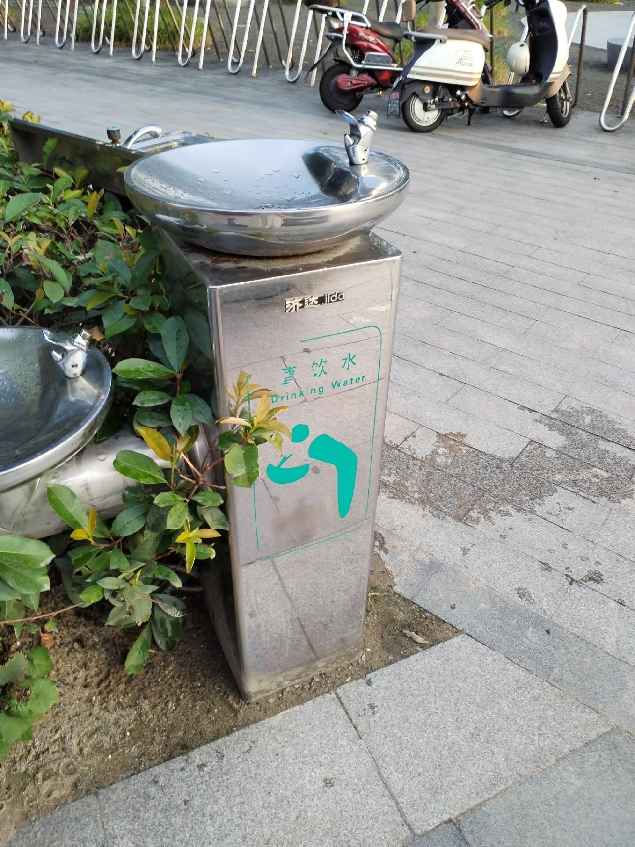滨江水韵公园旅行图片 3