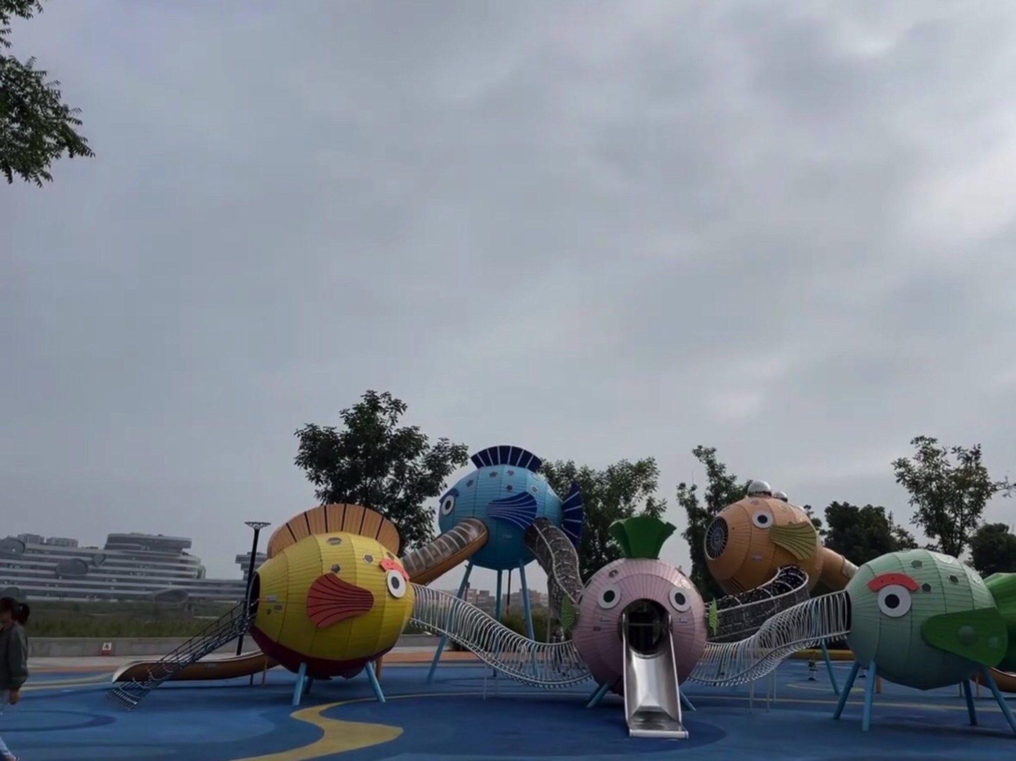 滨江水韵公园旅行图片 1