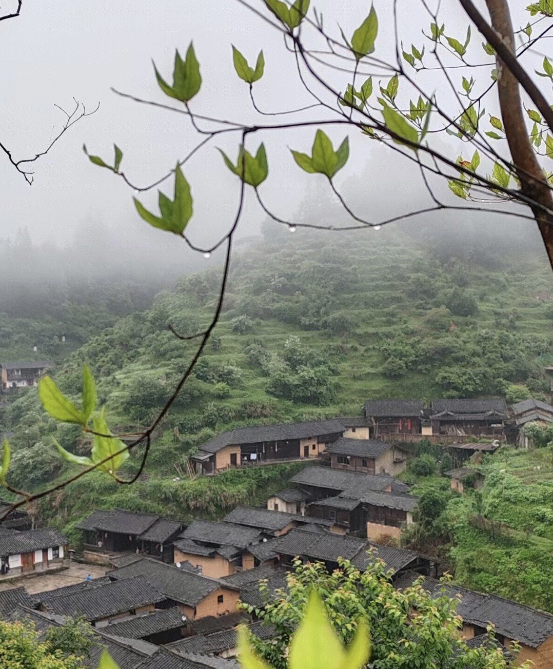 客家山寨丁屋岭景区旅行图片 3