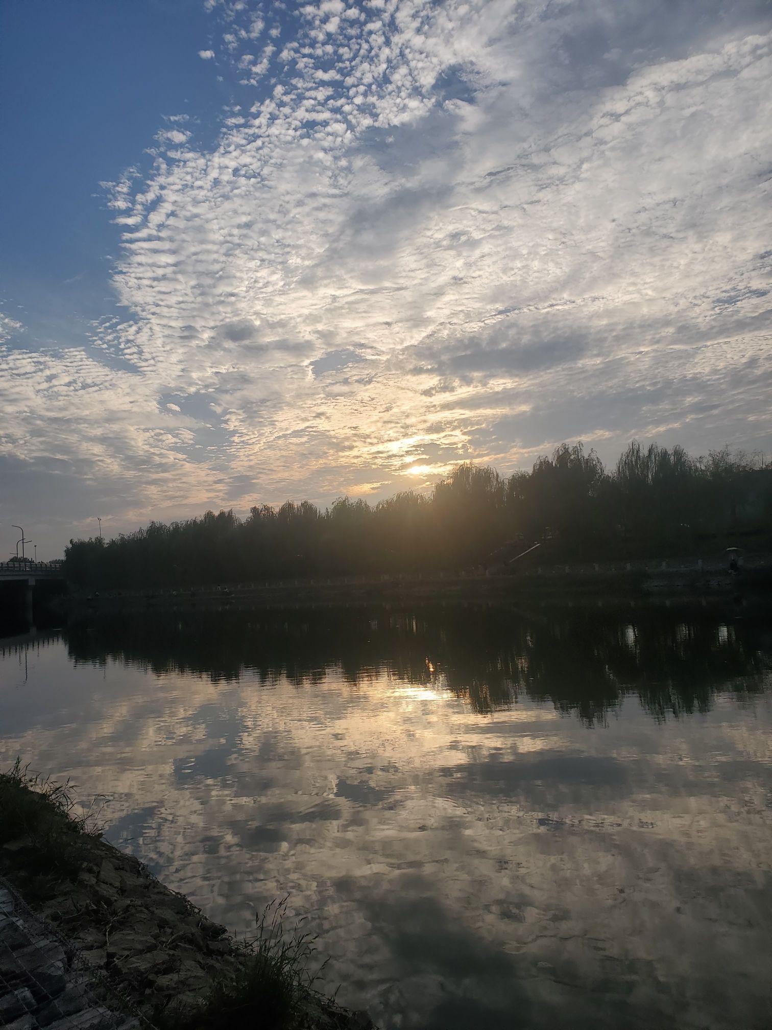紫荆体育公园旅行图片 1