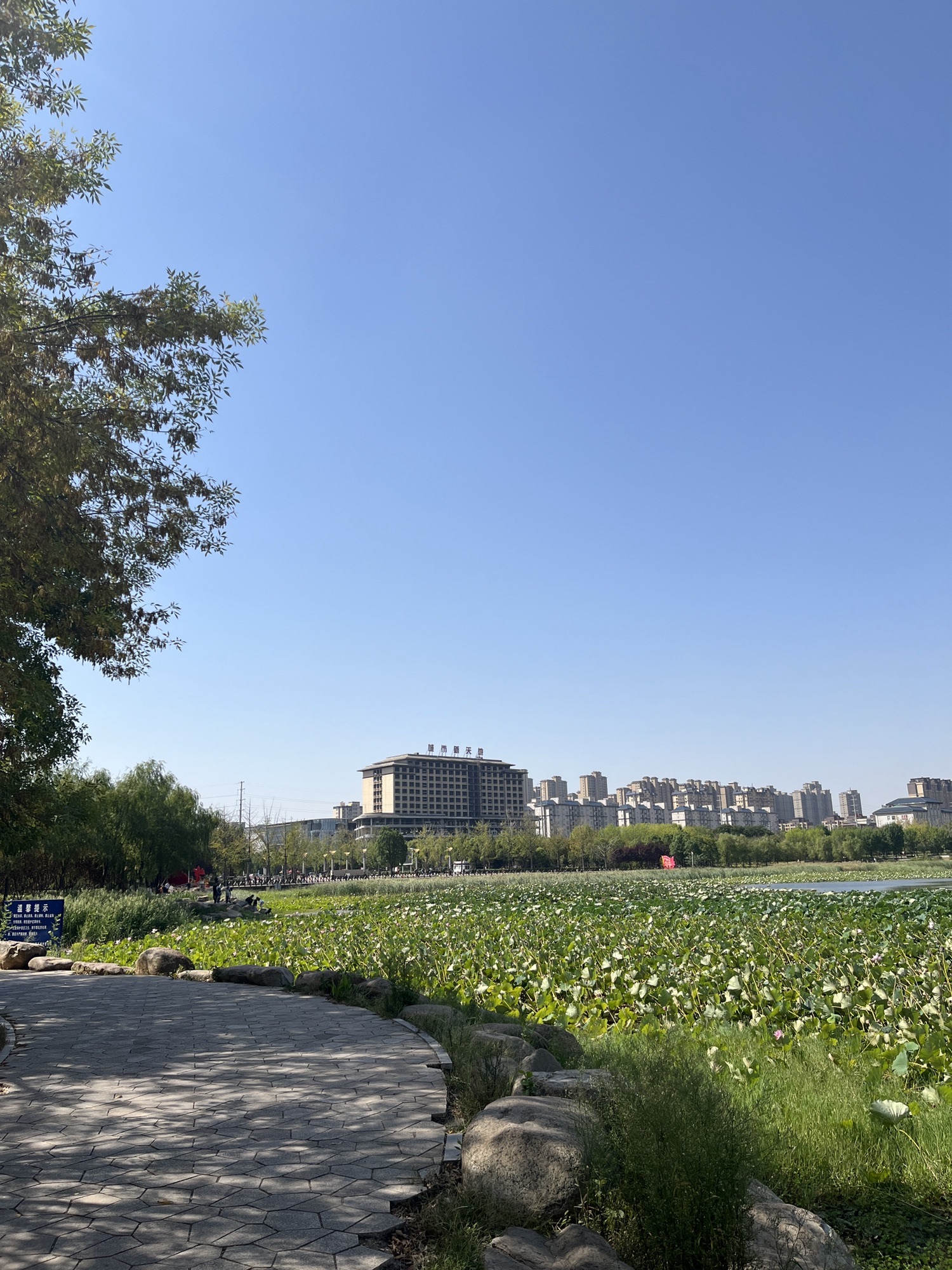凤凰公园旅行图片 2