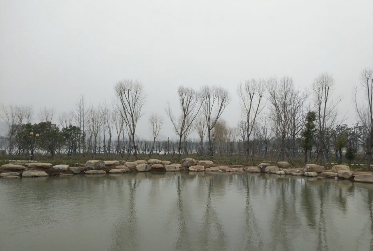 凤凰公园旅行图片 1