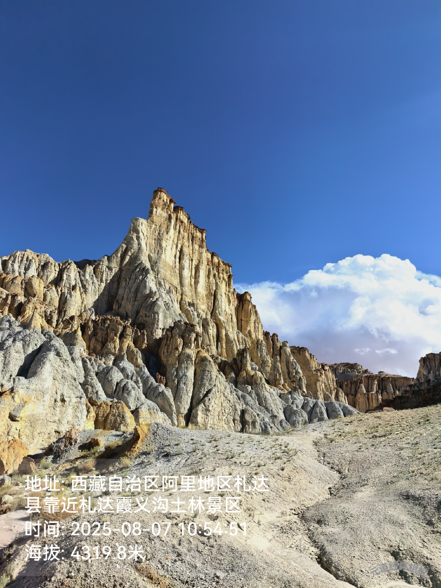 札达霞义沟土林景区
