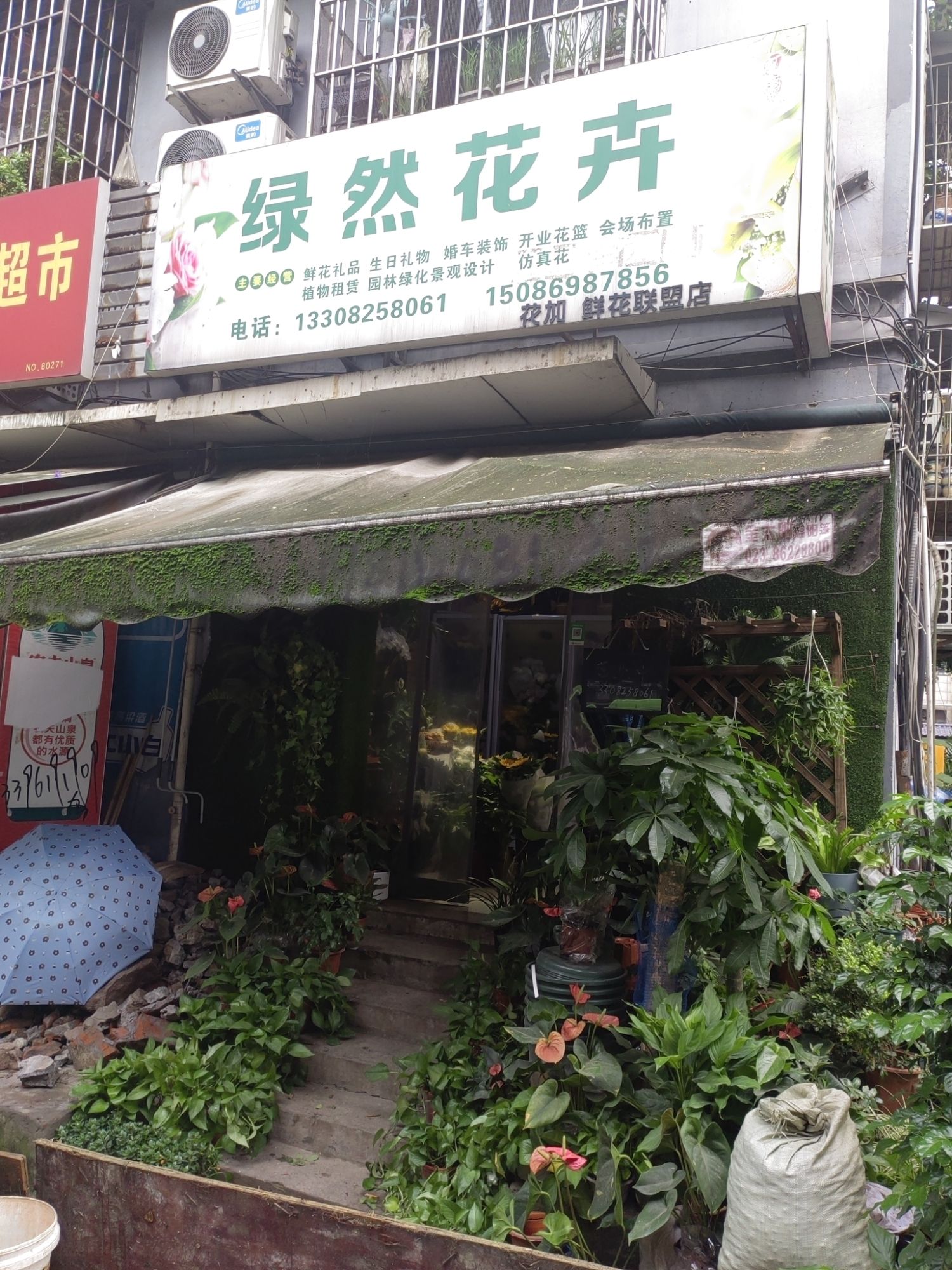 绿然花卉