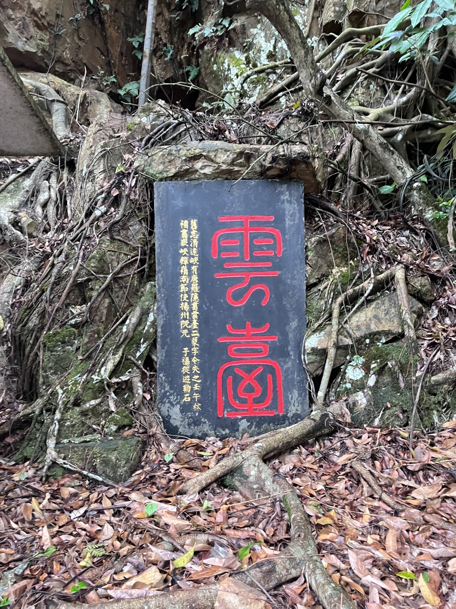 飞霞山市民公园旅行图片 2