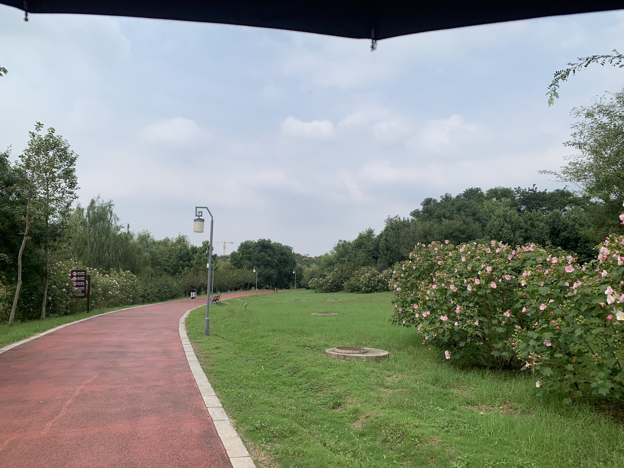 天堂湖公园旅行图片 3