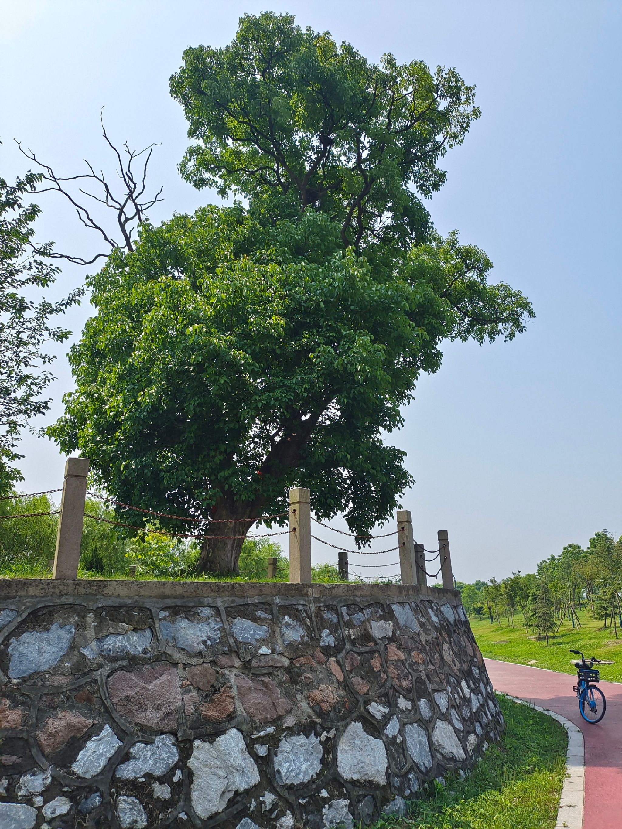 天堂湖公园旅行图片 1