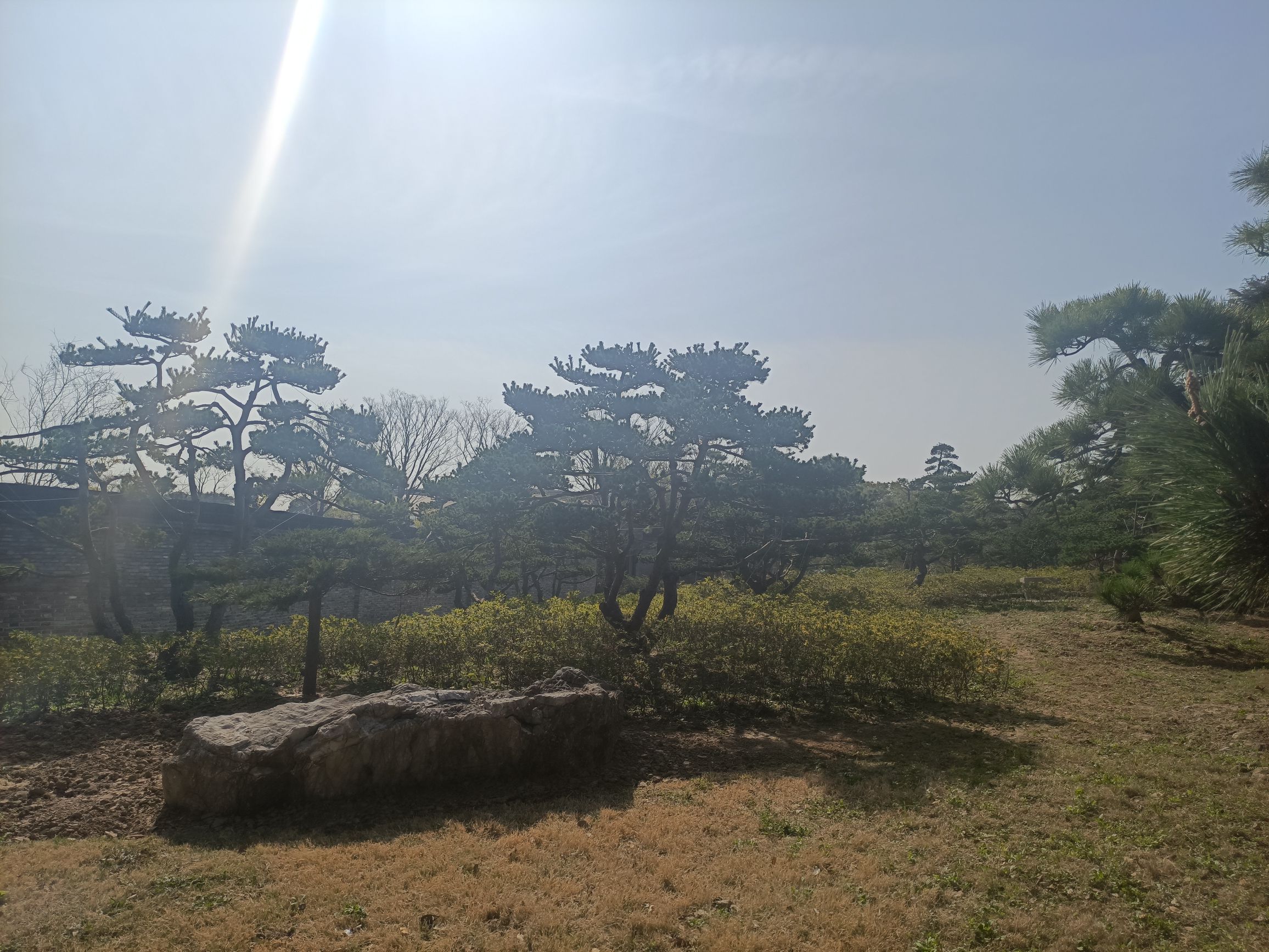 清芳园旅行图片 3