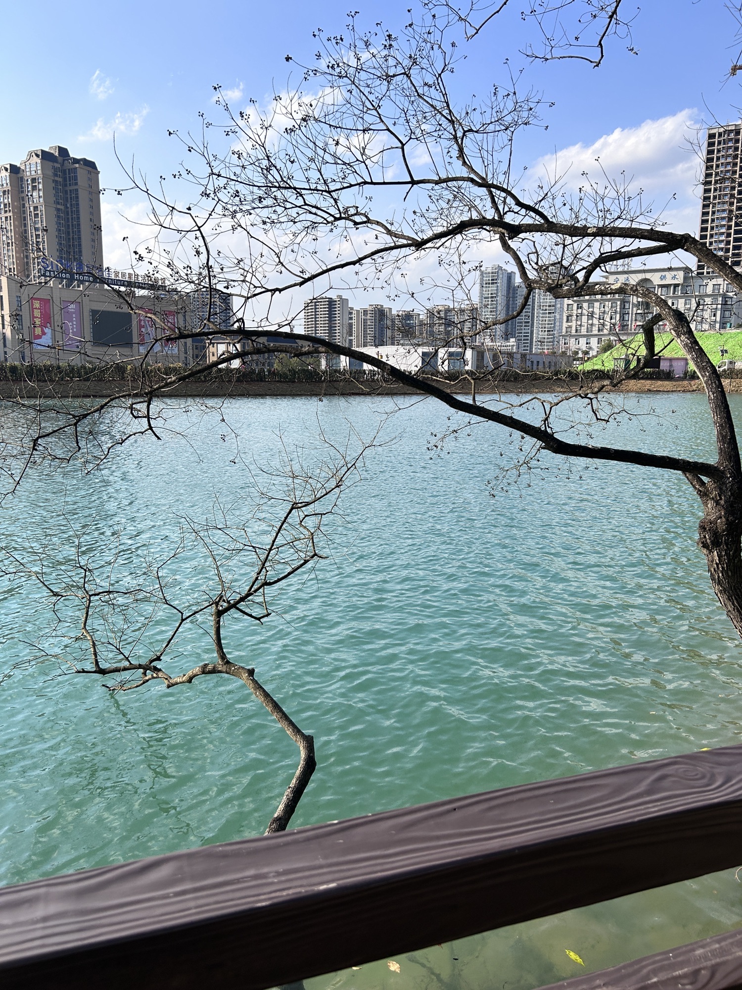 印山公园旅行图片 1