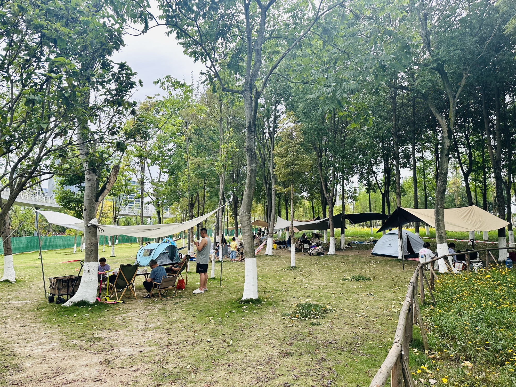 新川湿地公园旅行图片 1