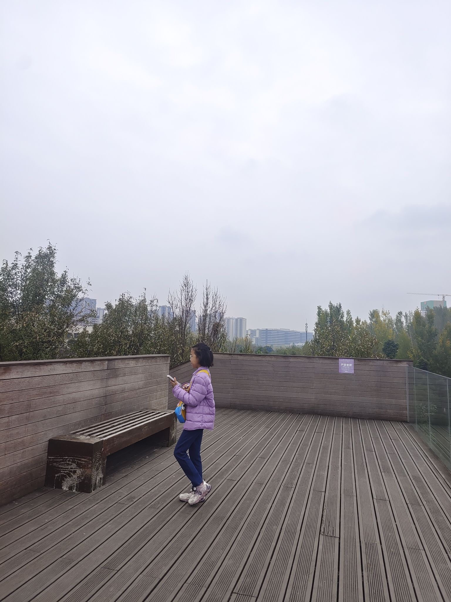 新川湿地公园旅行图片 1