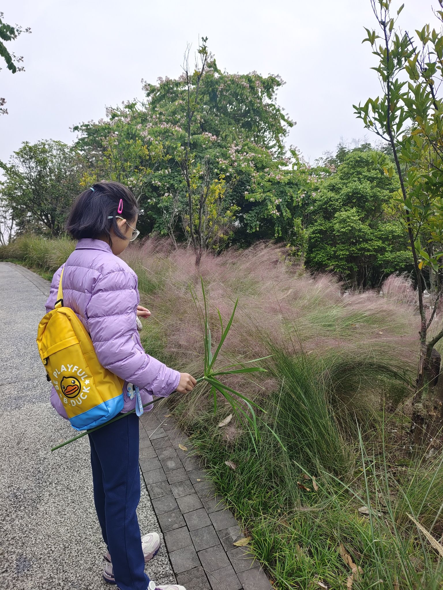 新川湿地公园旅行图片 2