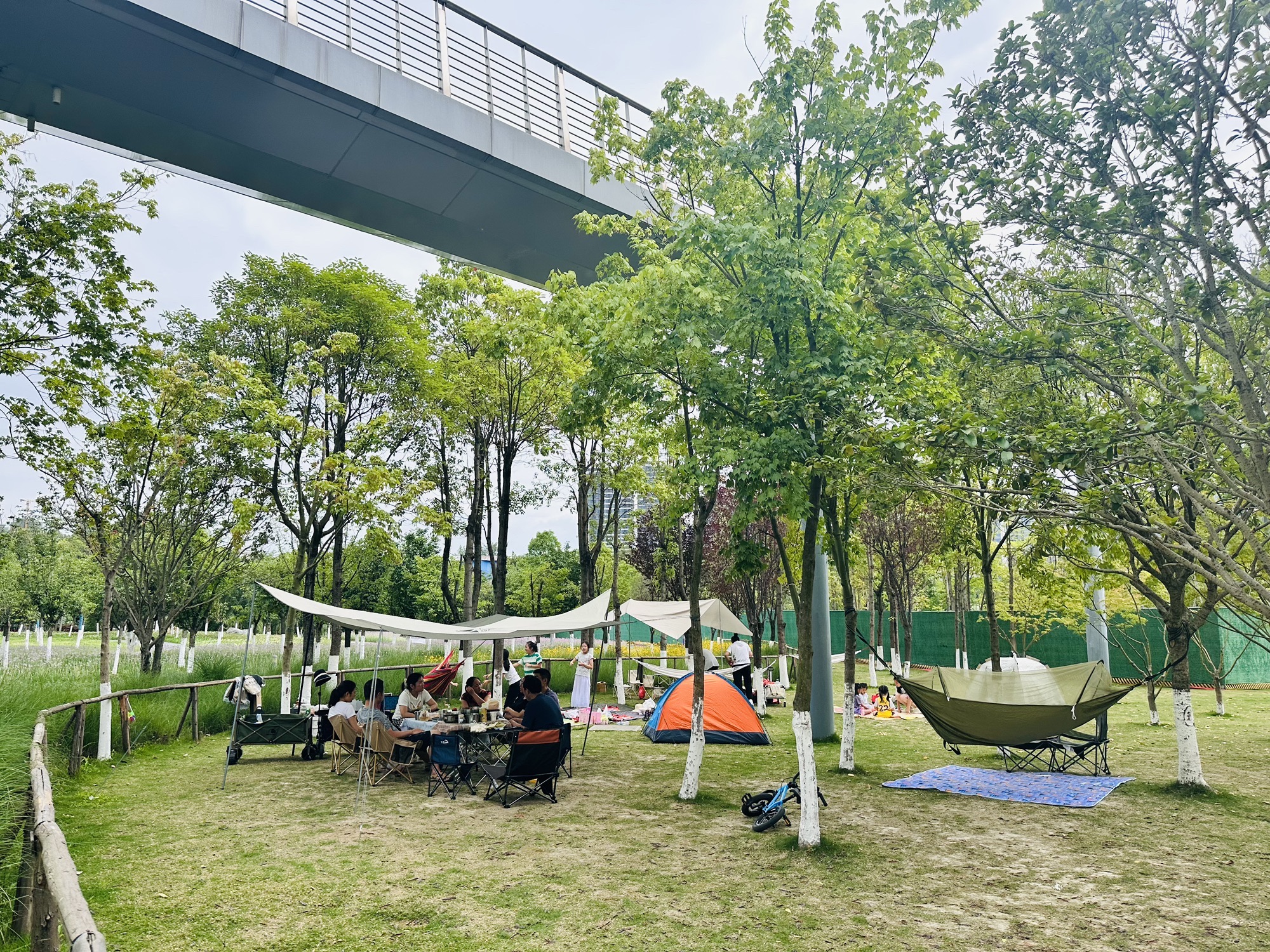 新川湿地公园旅行图片 2