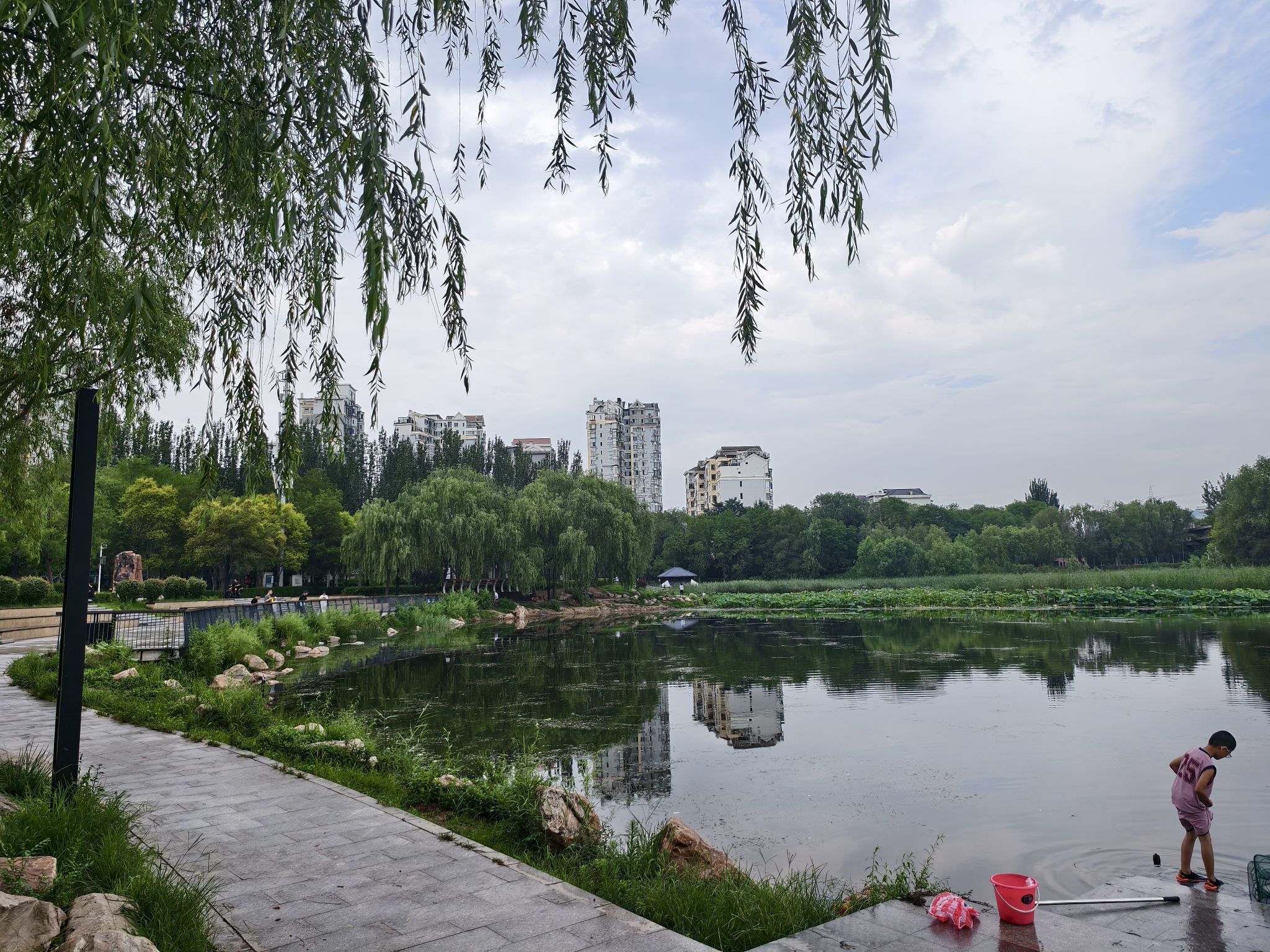皇姑北塔公园旅行图片 3