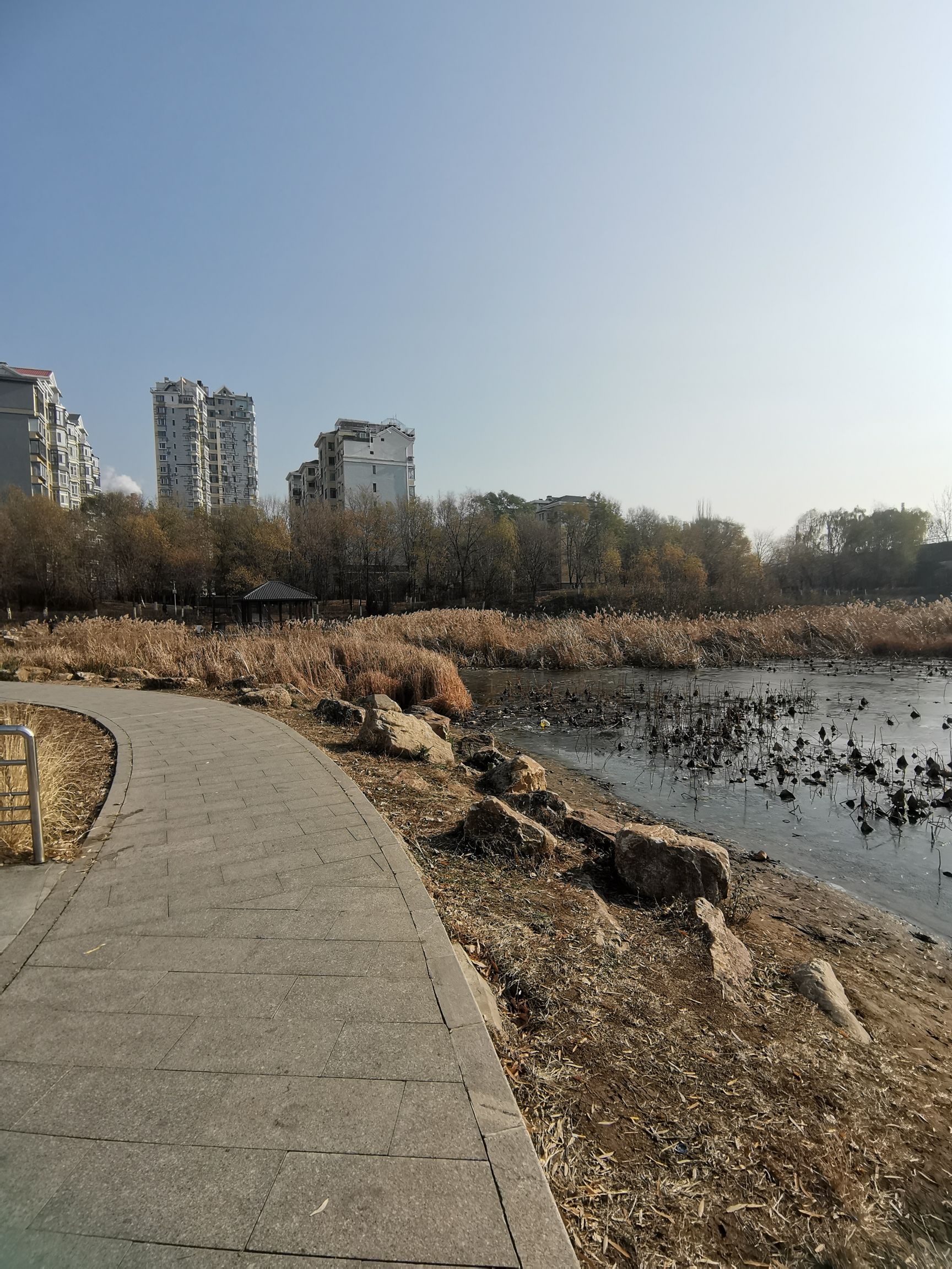 皇姑北塔公园旅行图片 2