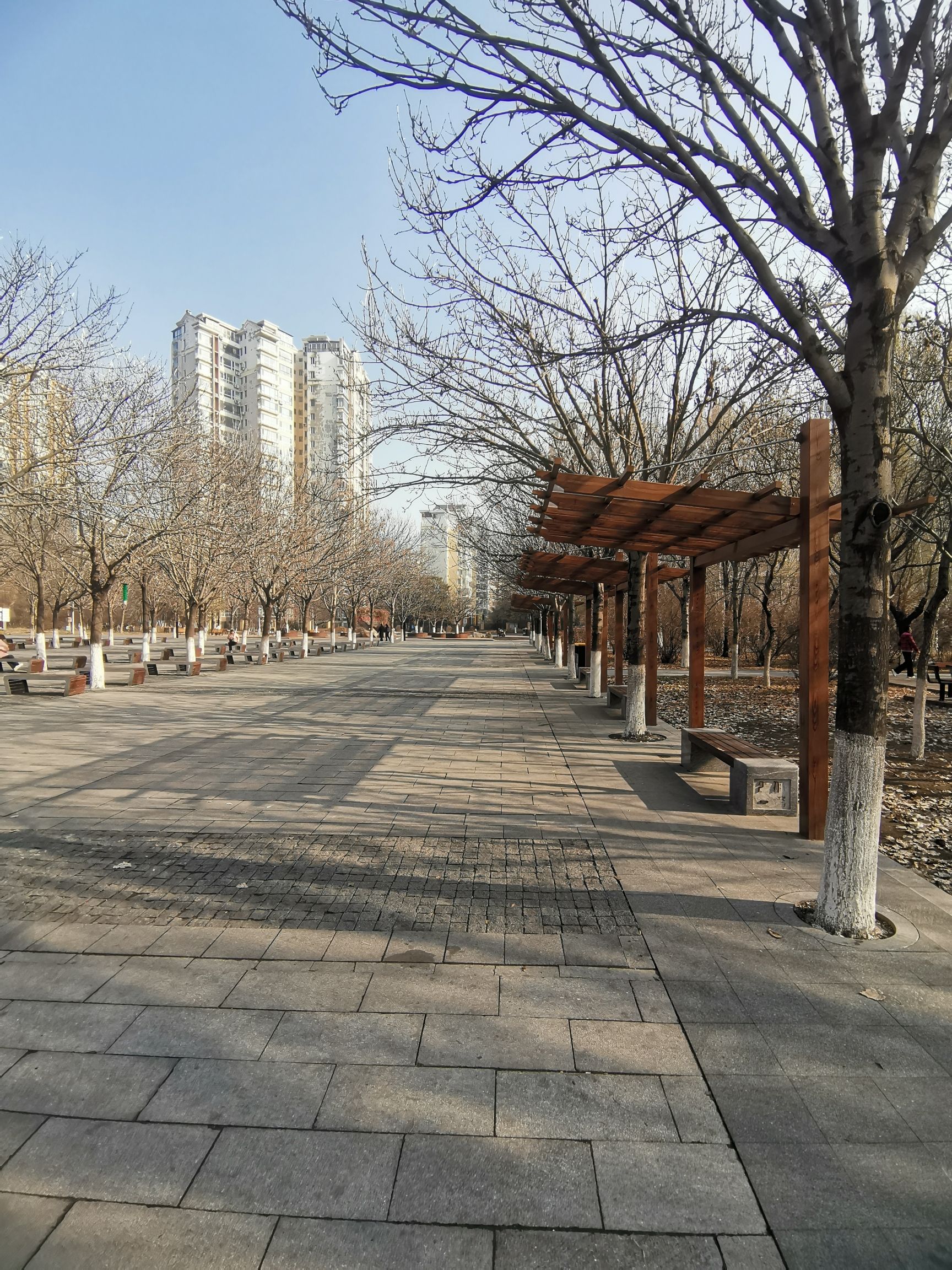 皇姑北塔公园旅行图片 3