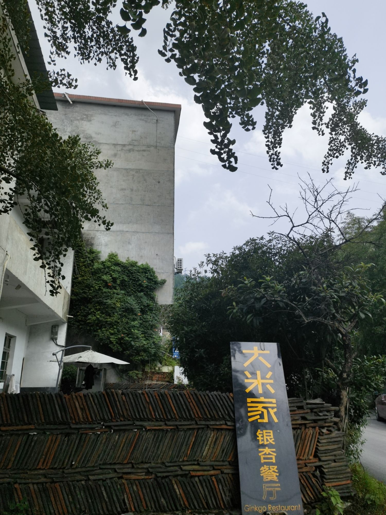 大米家银杏餐厅