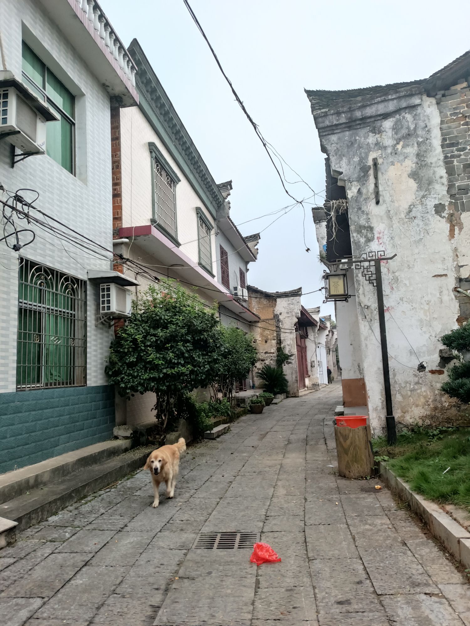 聂市古镇旅行图片 1