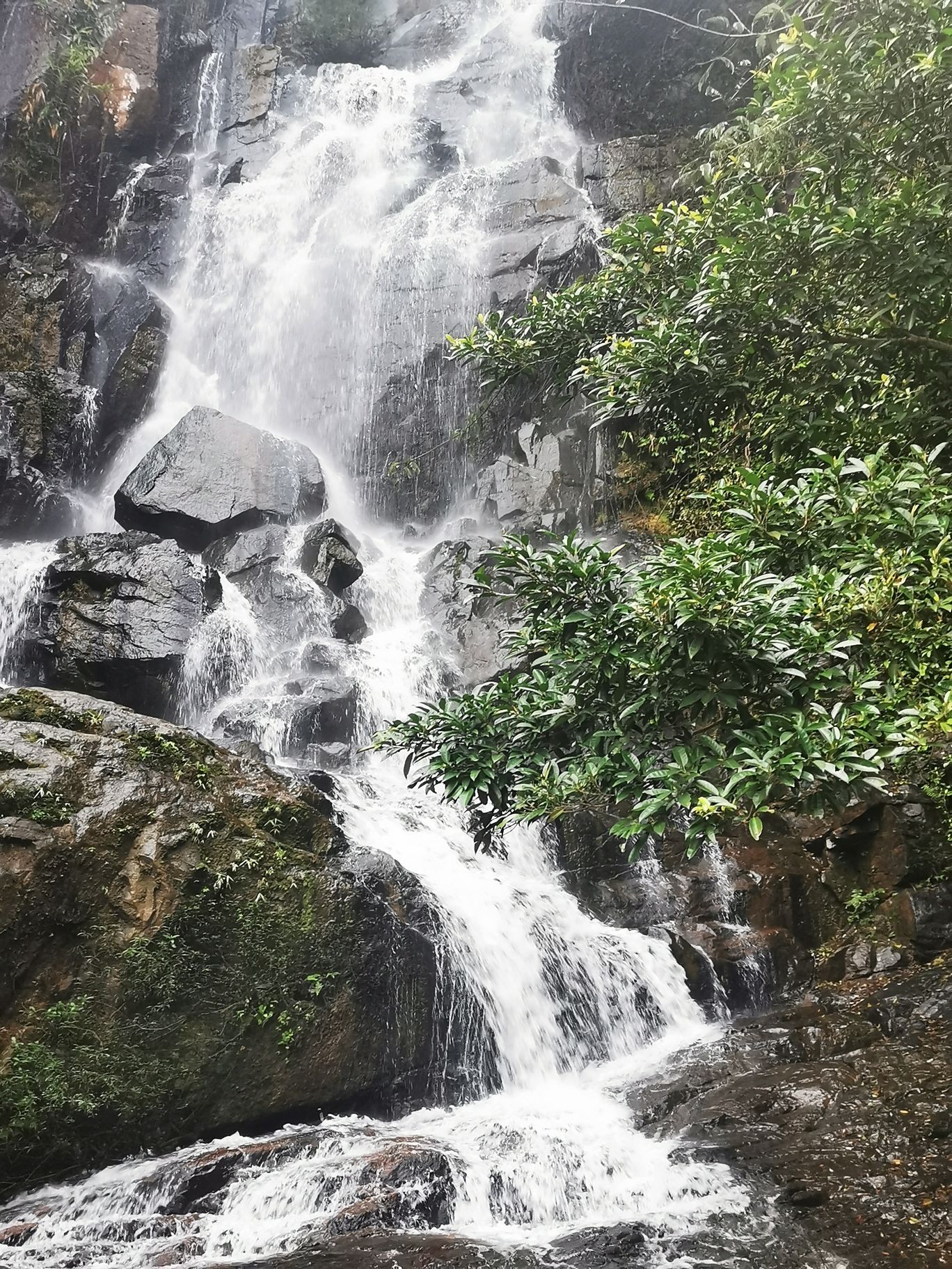 鹿母湾瀑布