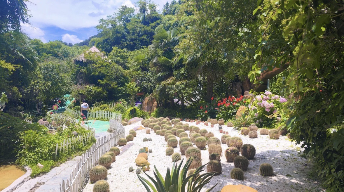 俊发·黑石湿地公园旅行图片 3