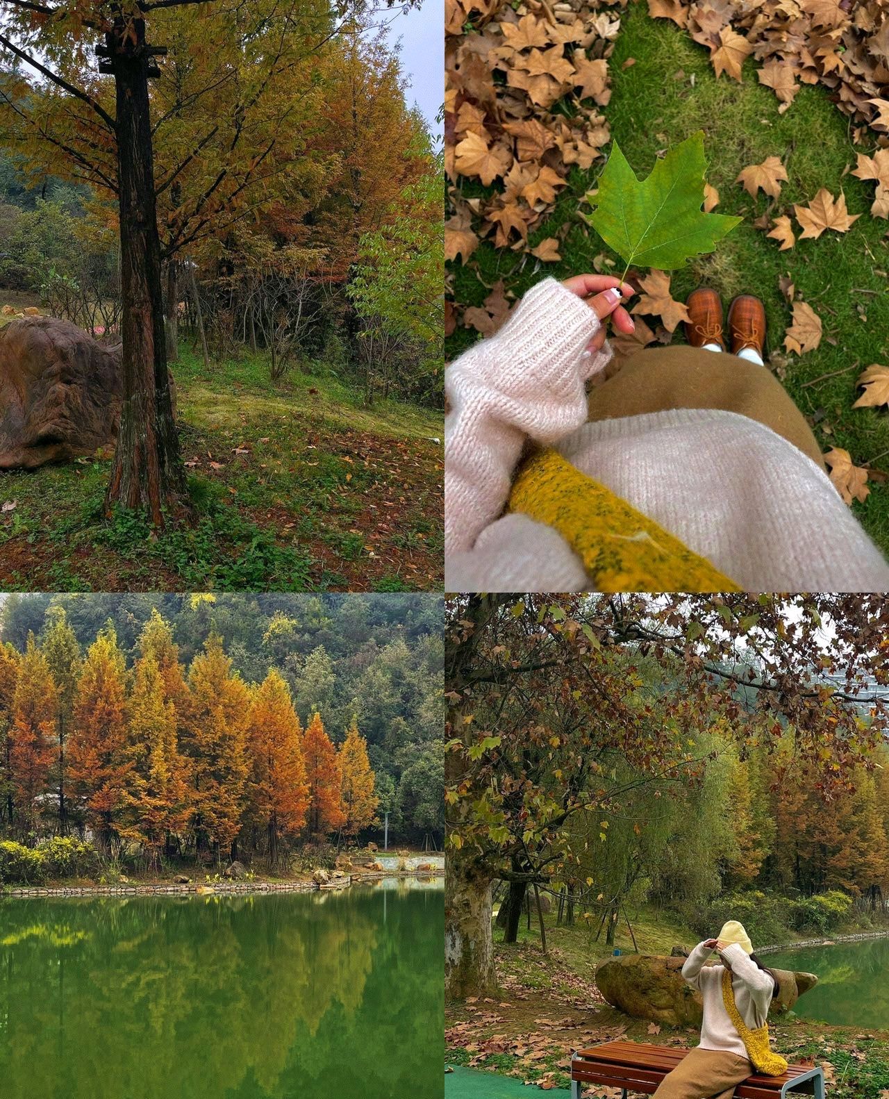 俊发·黑石湿地公园旅行图片 1