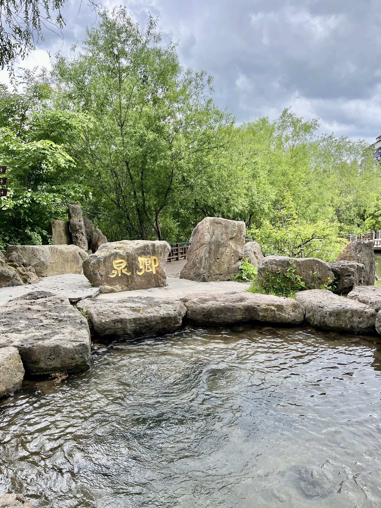 中华秋沙鸭公园旅行图片 2