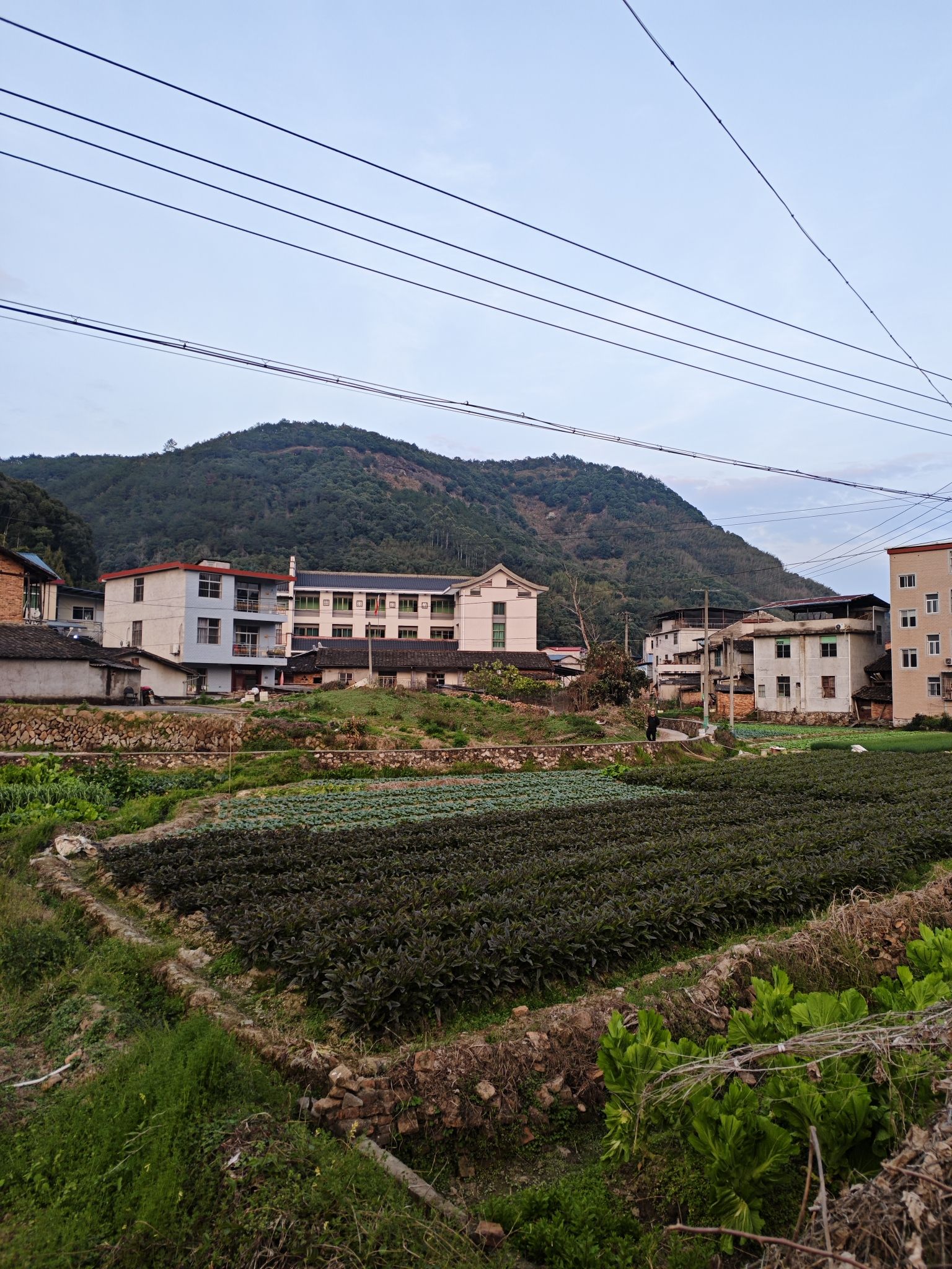 吉山古村旅行图片 1